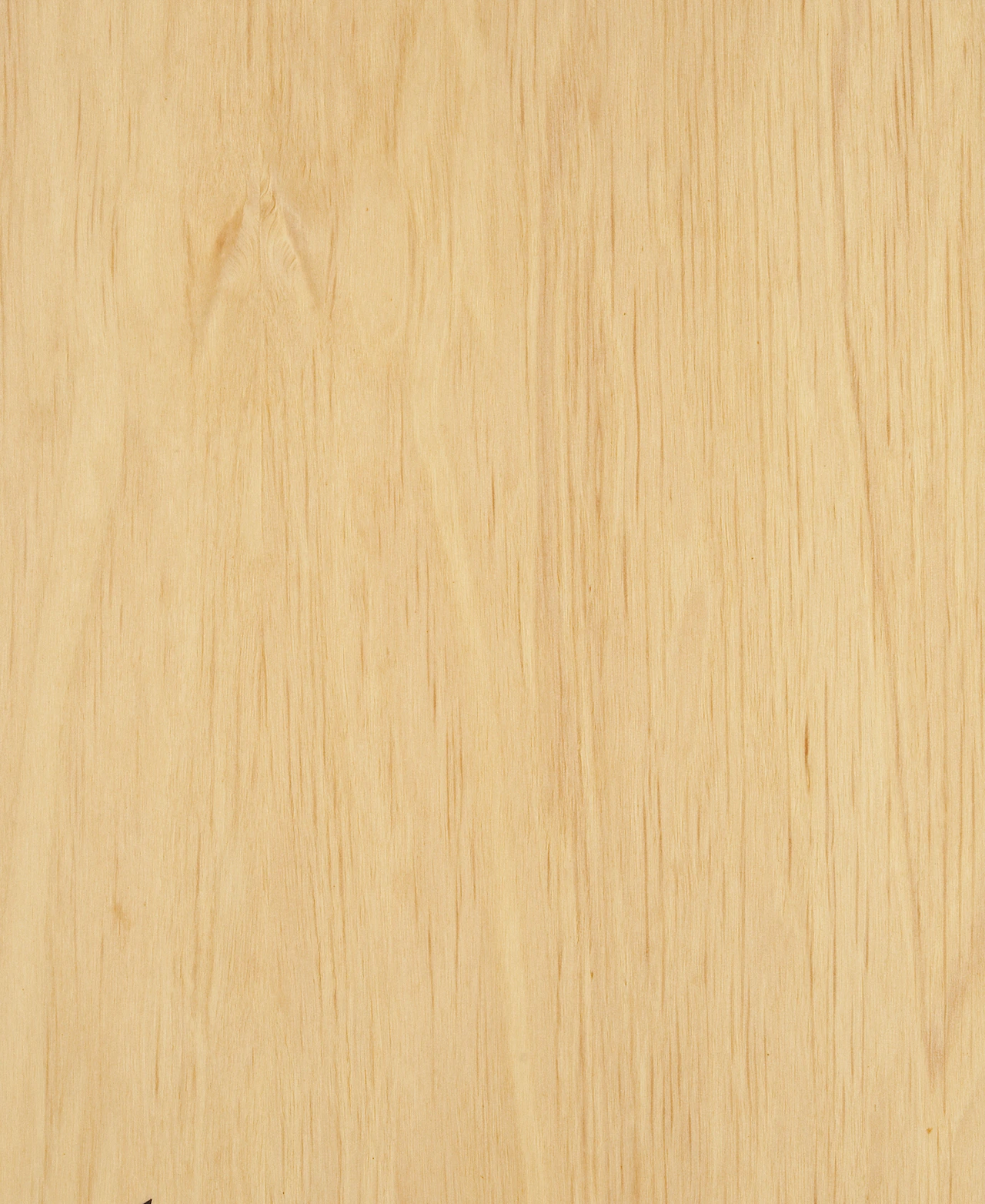 picture alternative text