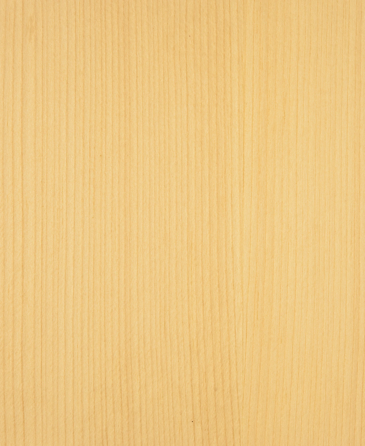 picture alternative text