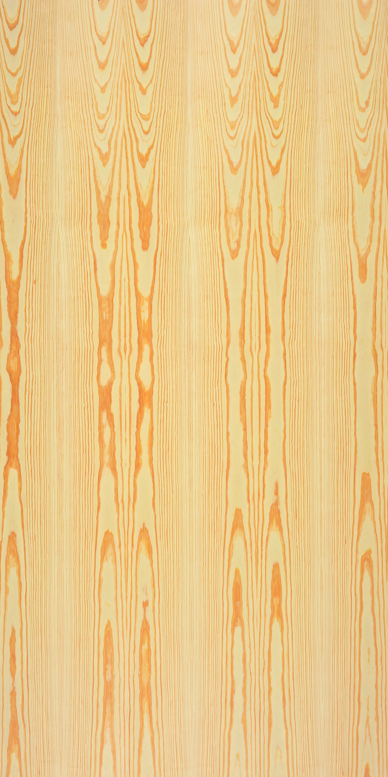 picture alternative text