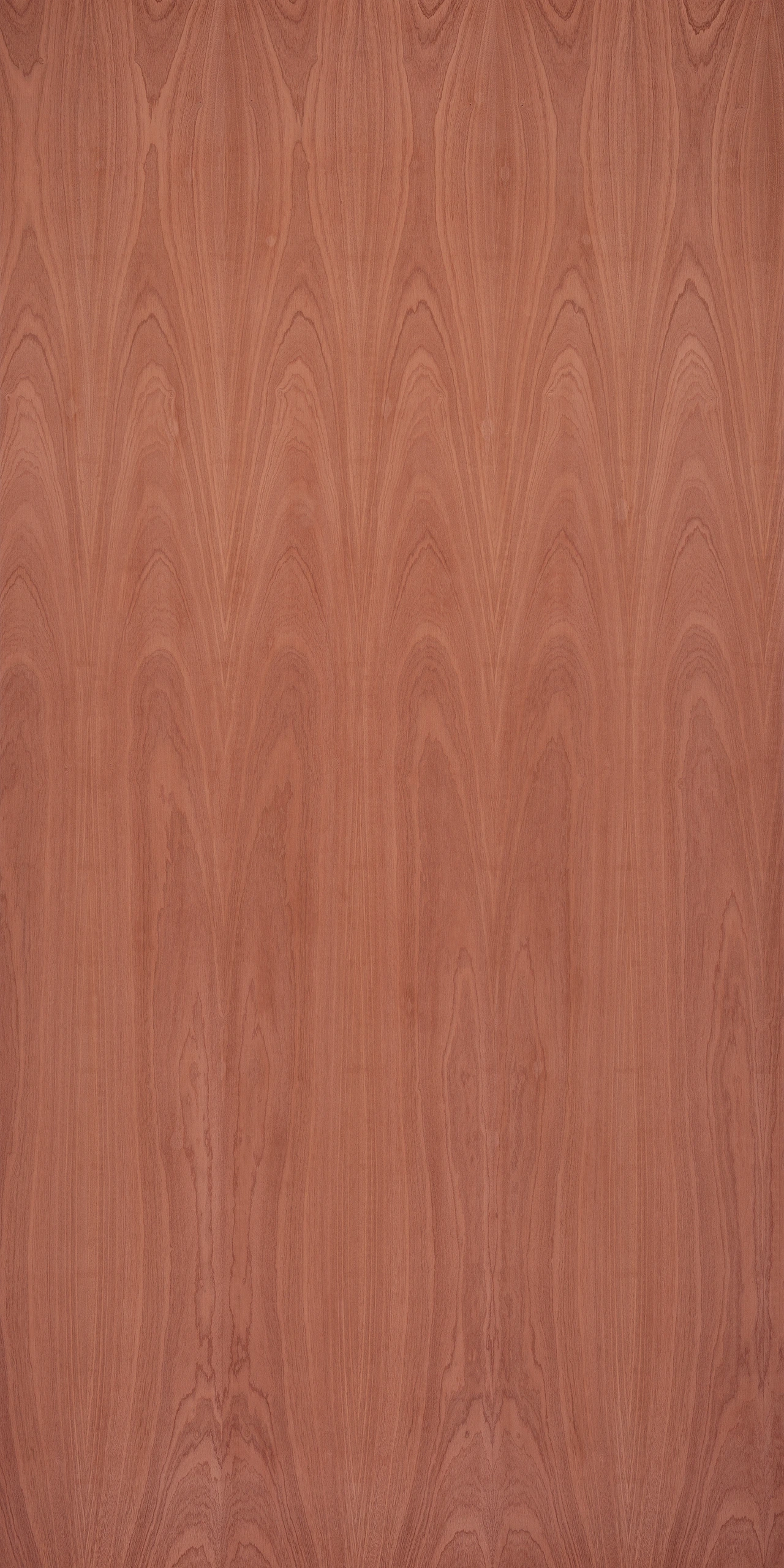 picture alternative text