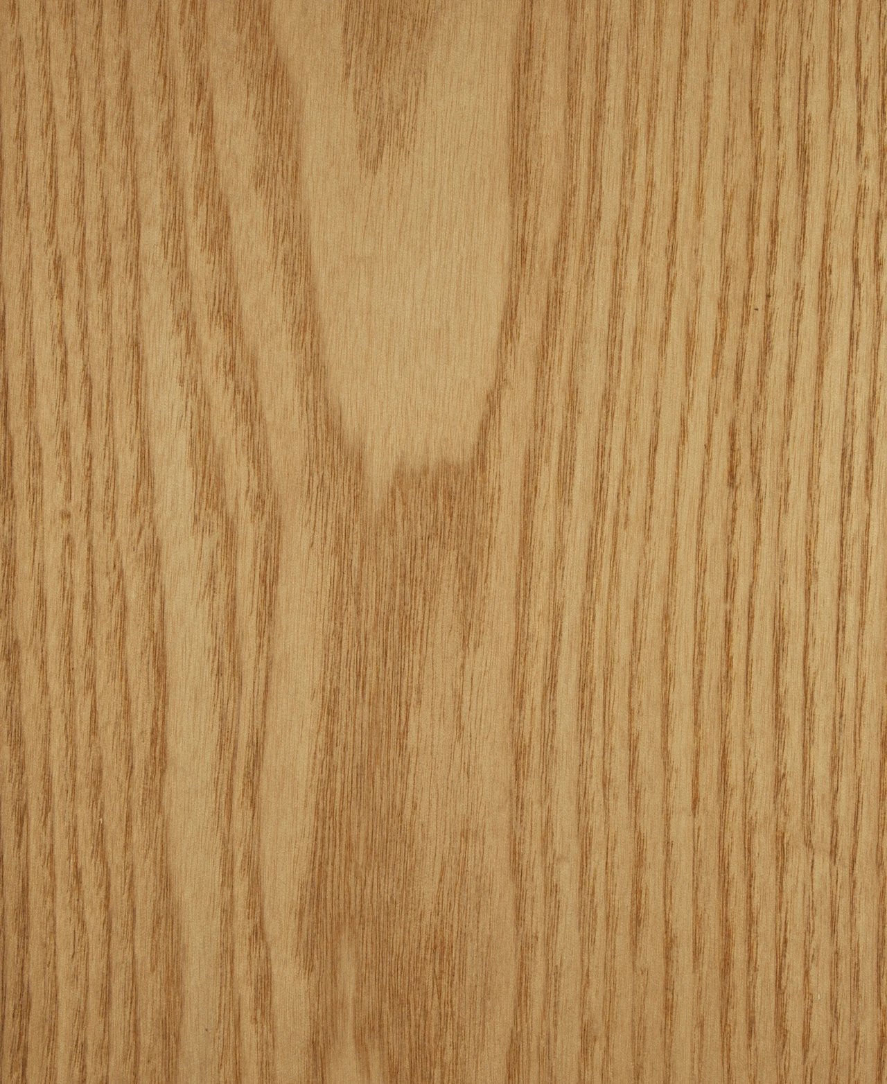 picture alternative text