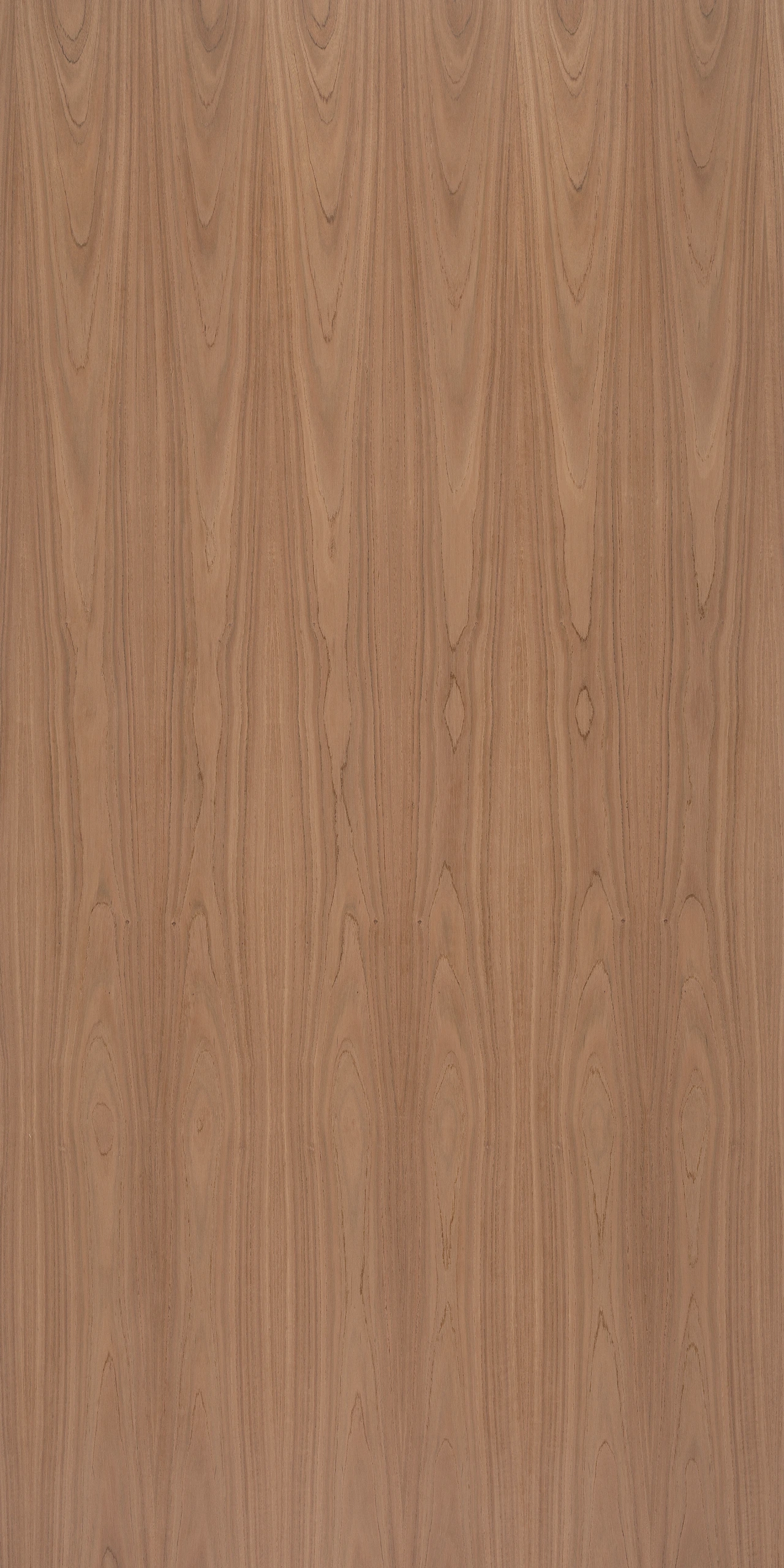 picture alternative text