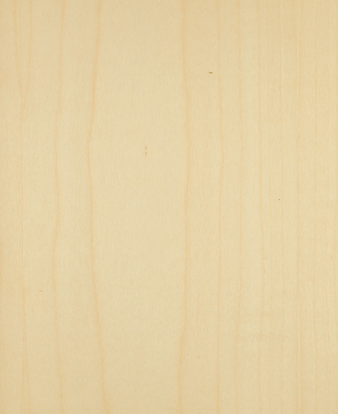 picture alternative text