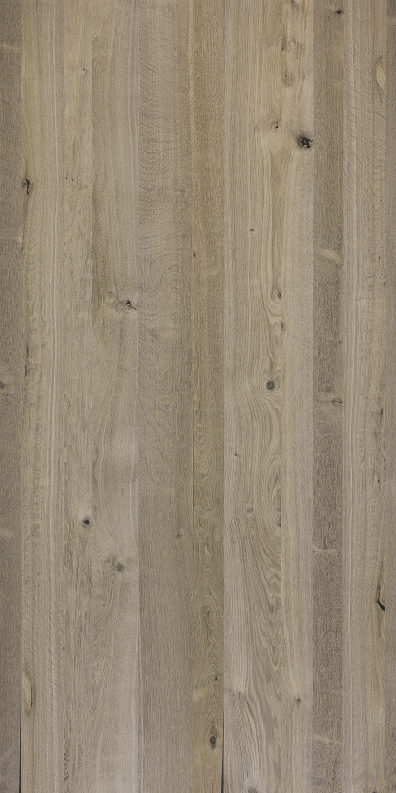 picture alternative text