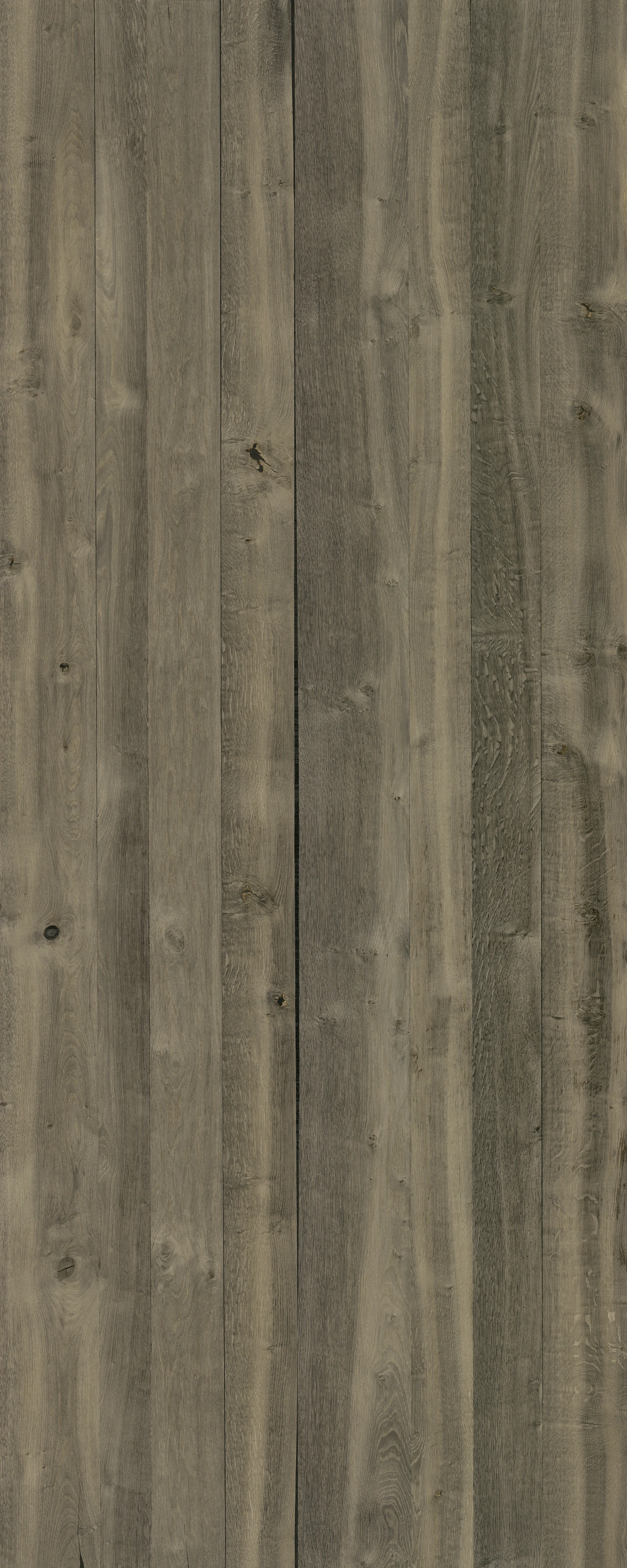 picture alternative text