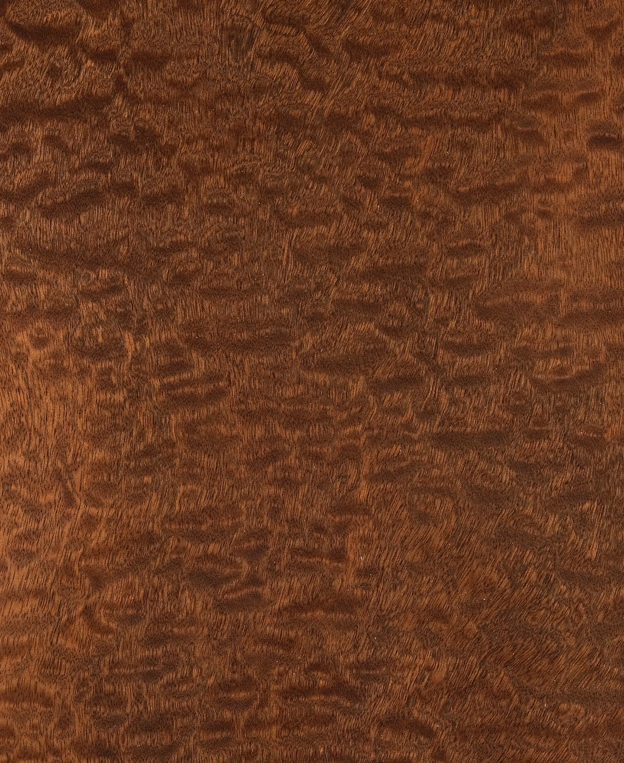 picture alternative text