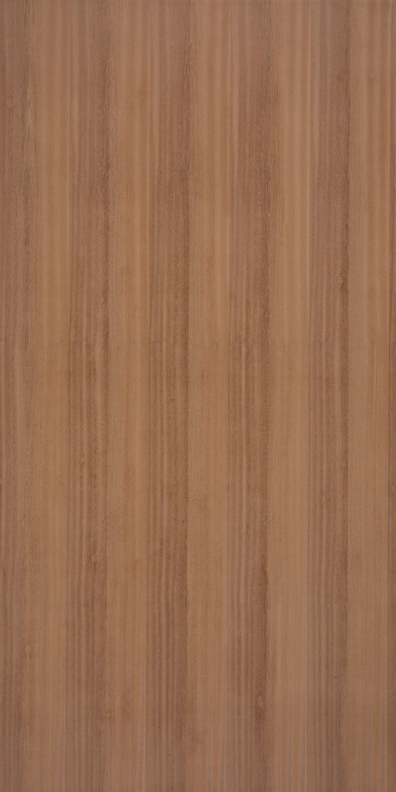 picture alternative text