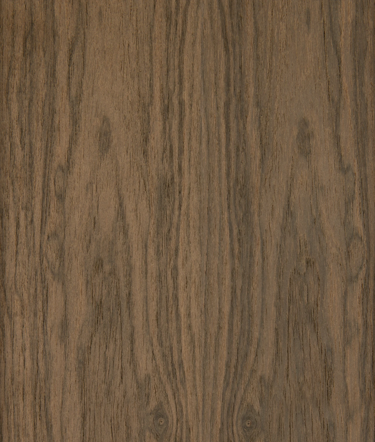 picture alternative text