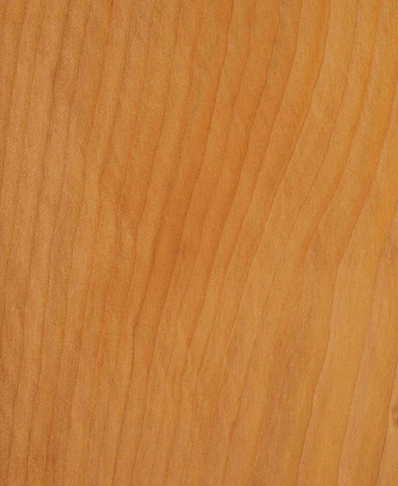 picture alternative text