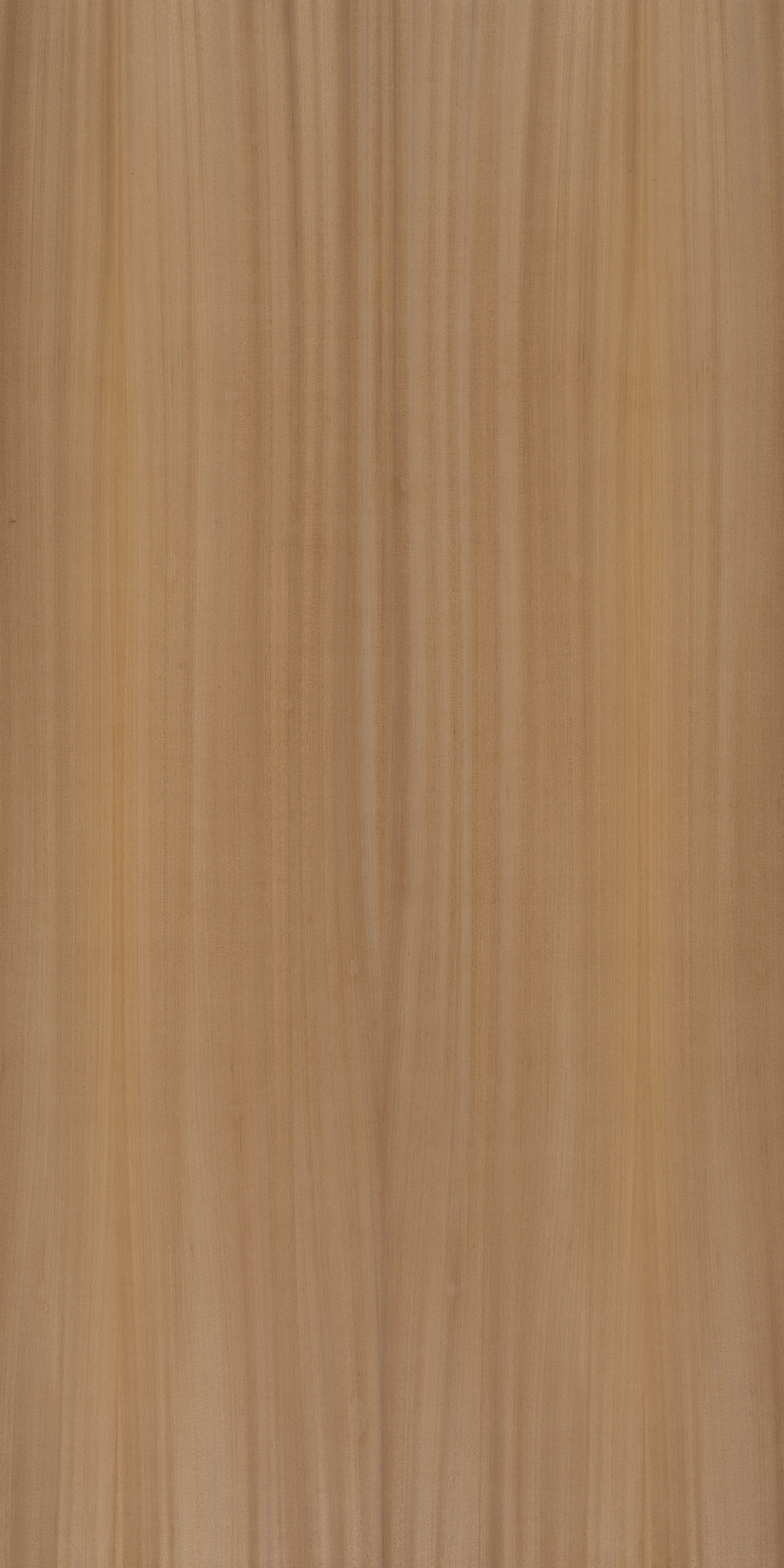 picture alternative text