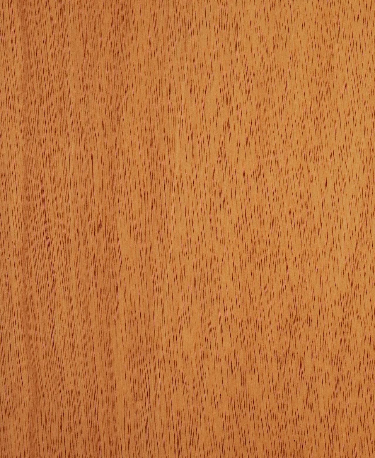 picture alternative text