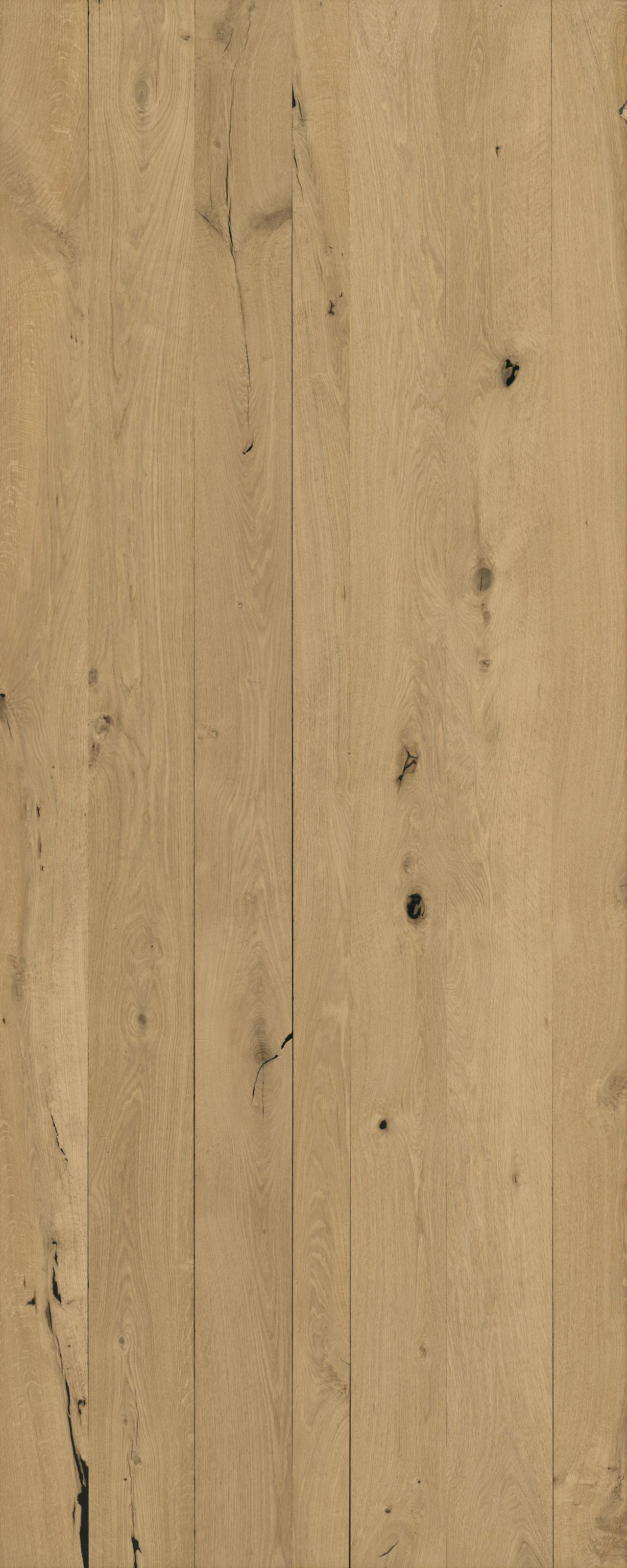 picture alternative text