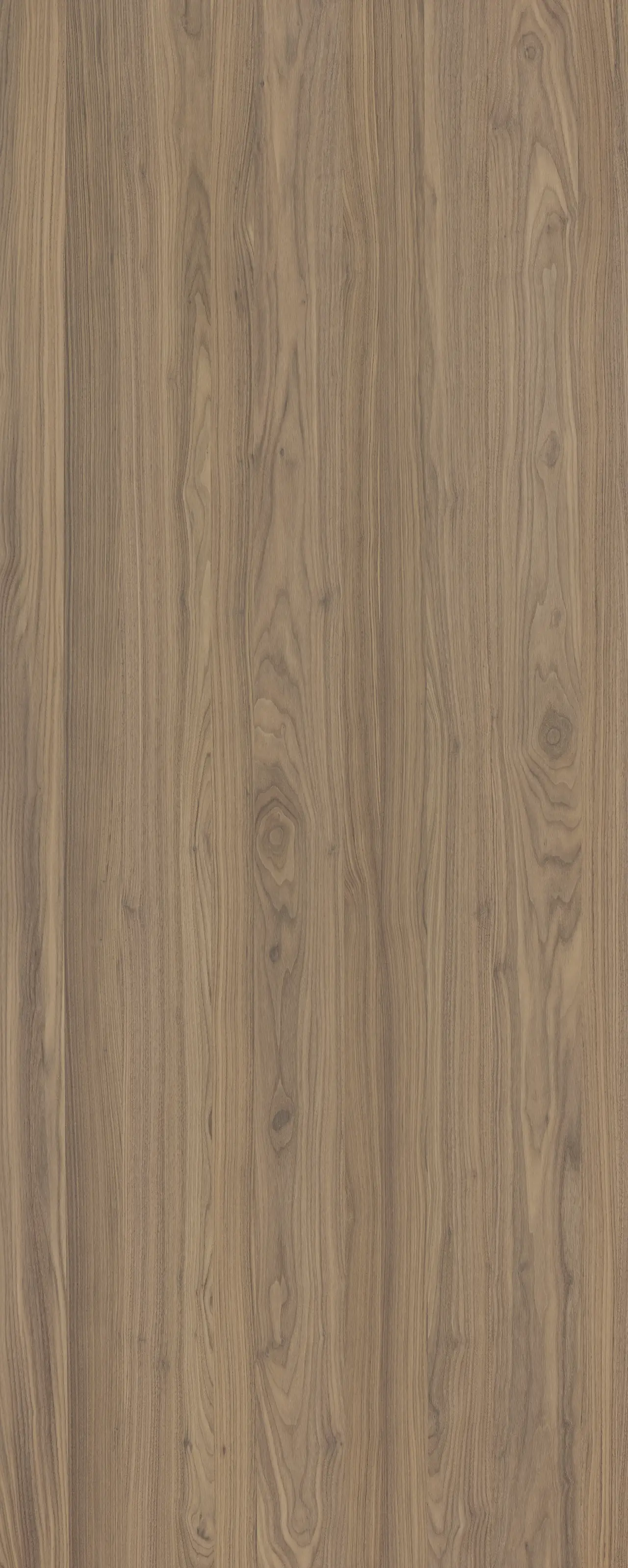 picture alternative text