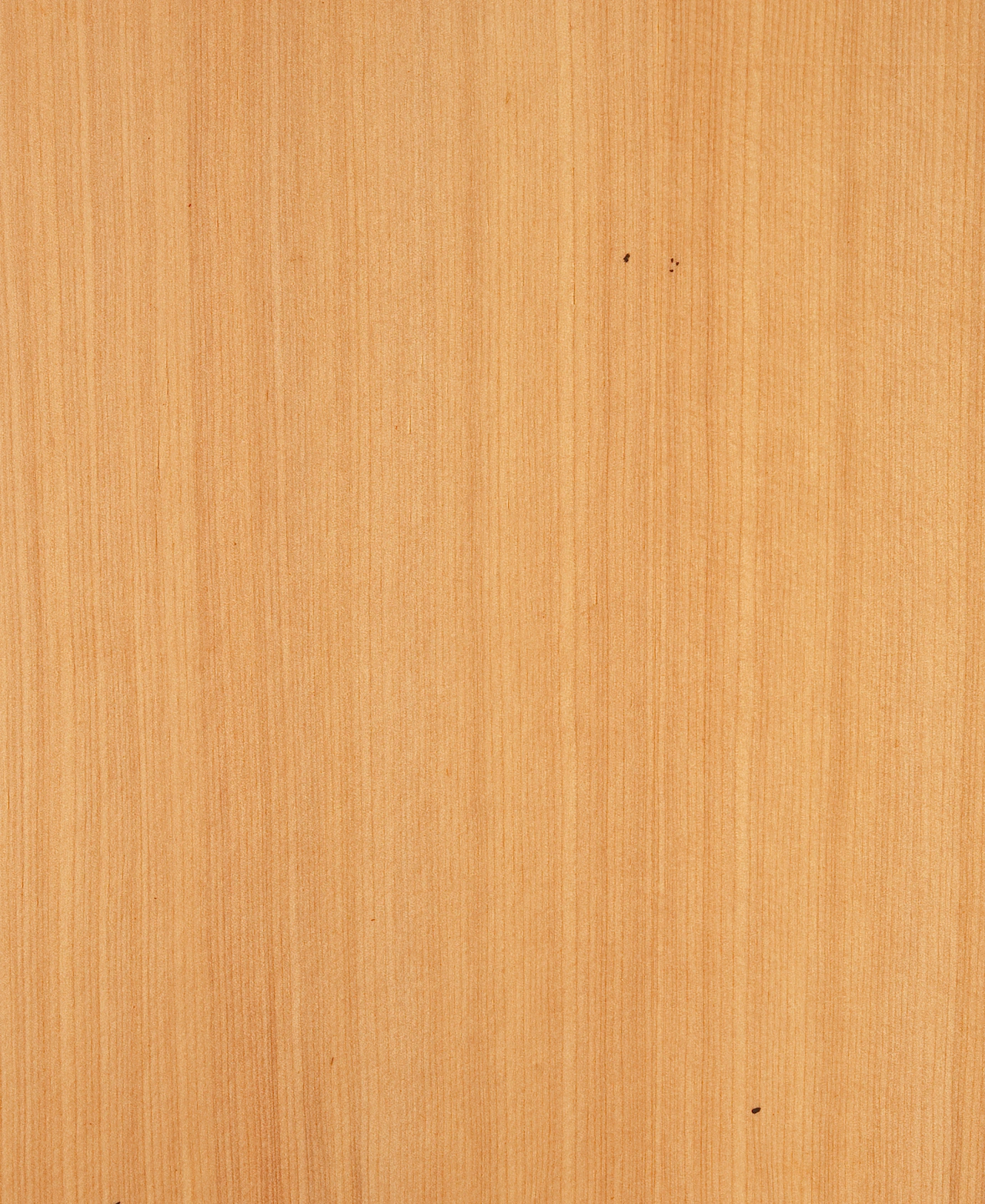 picture alternative text