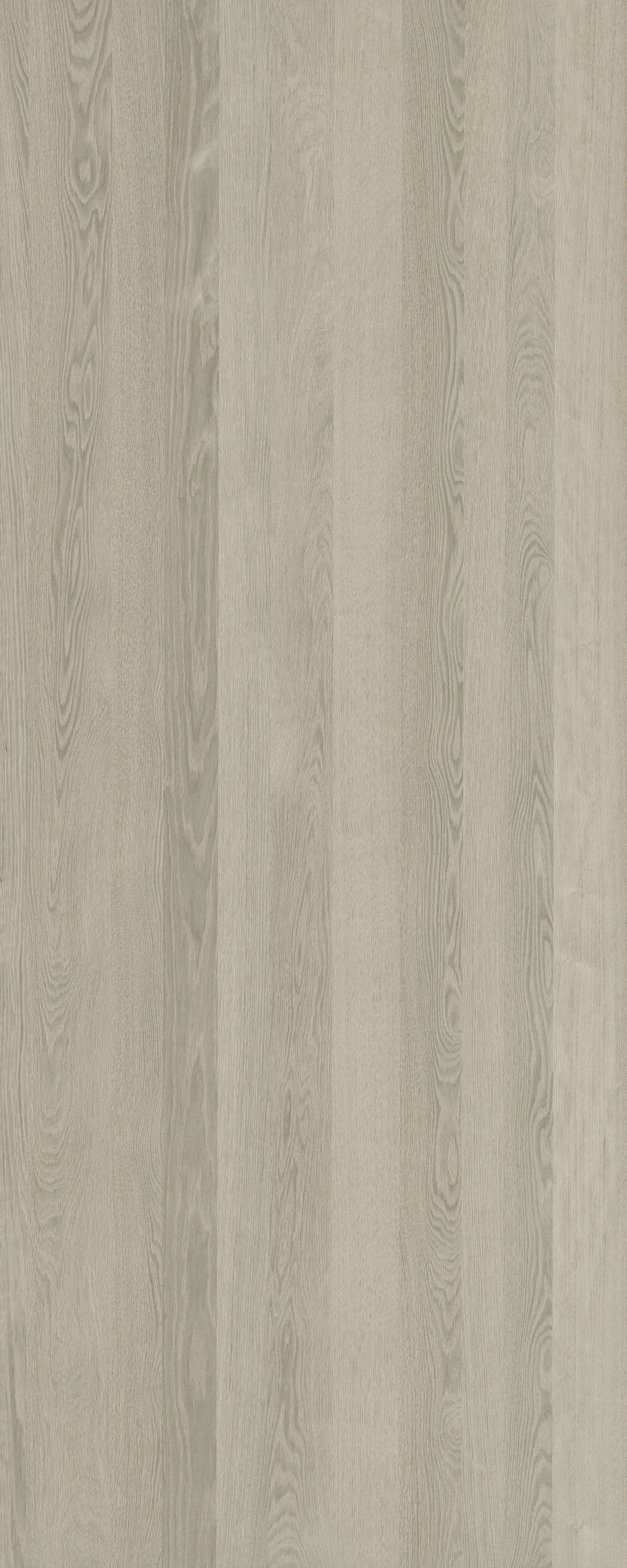 picture alternative text