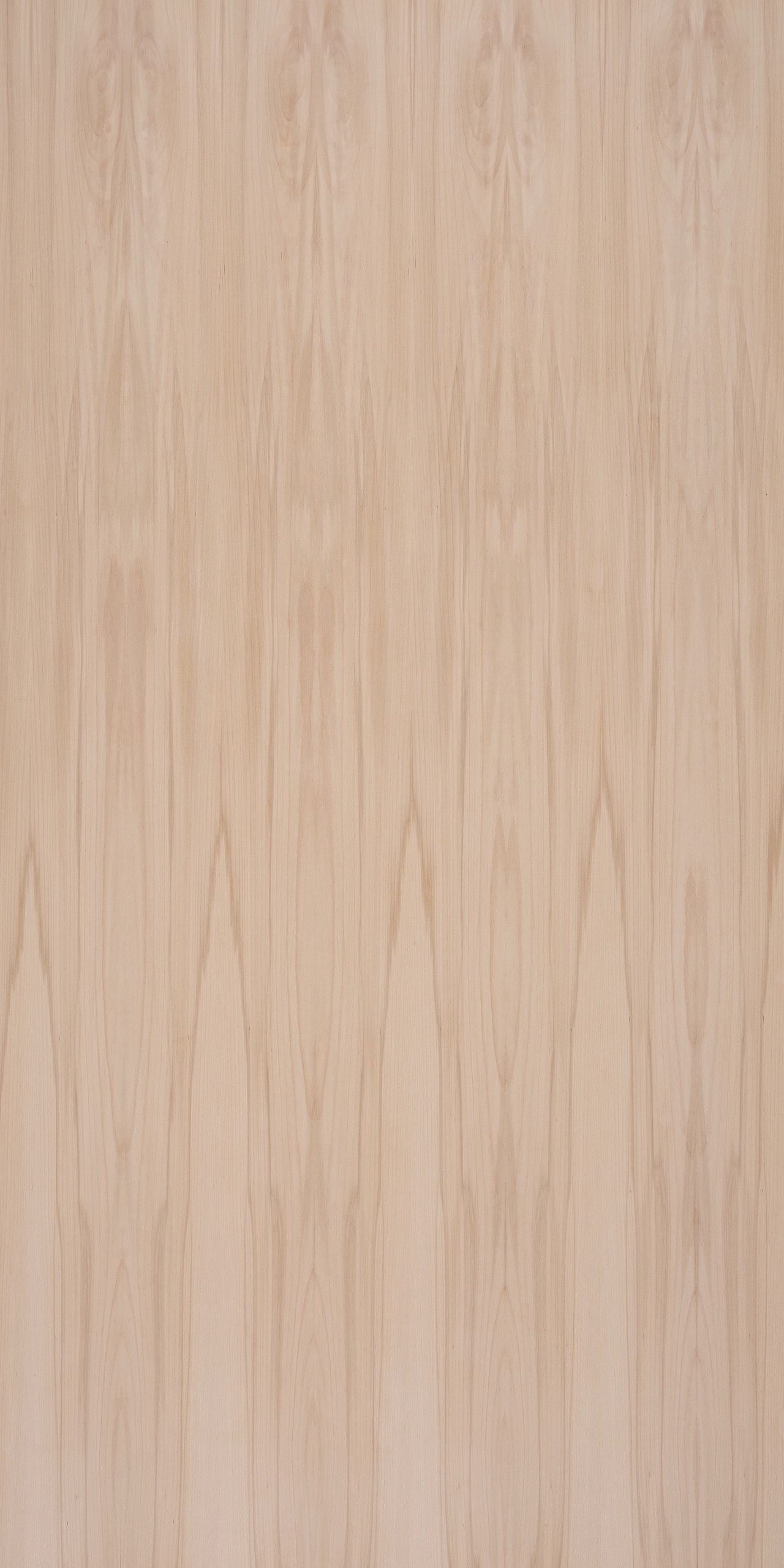 picture alternative text