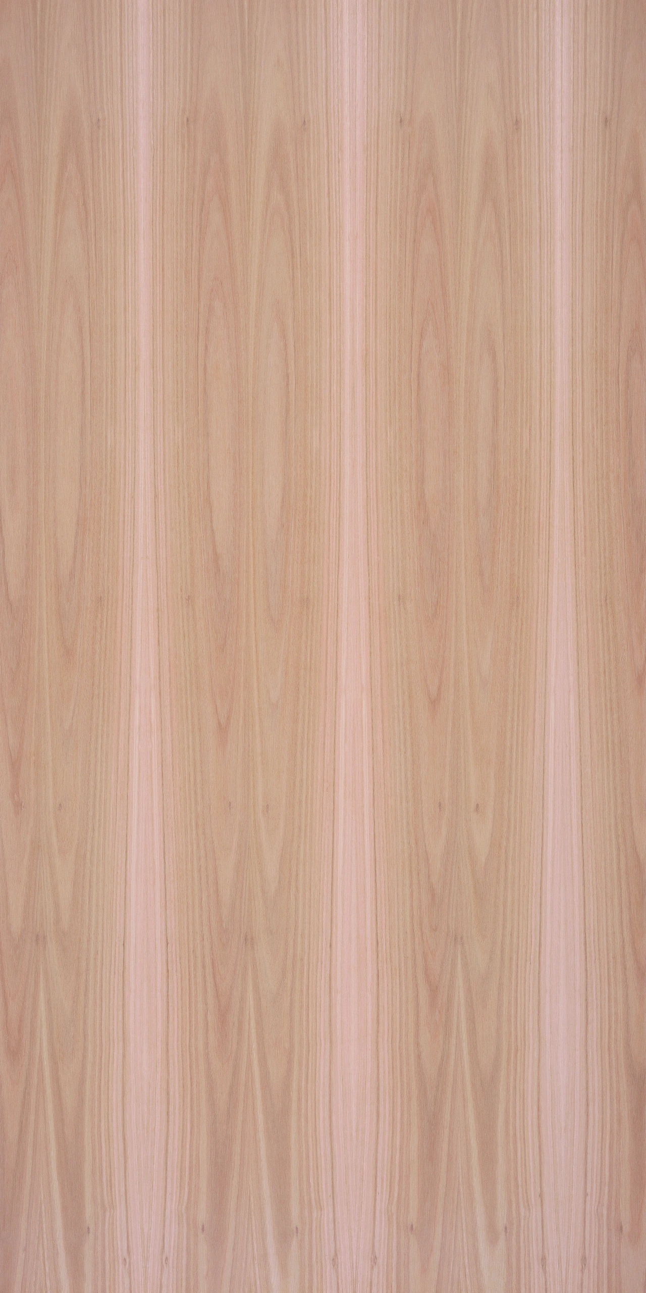 picture alternative text