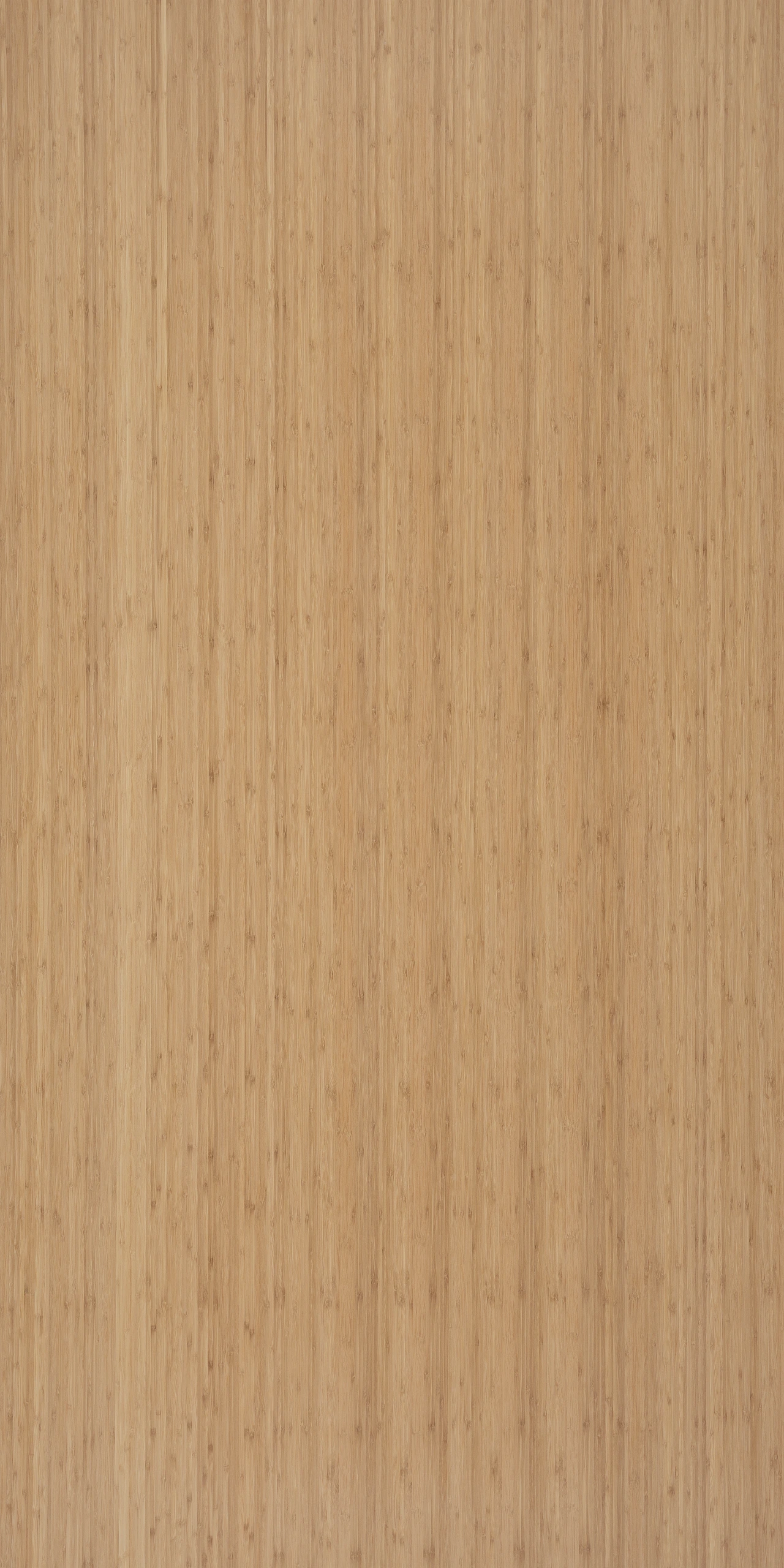 picture alternative text