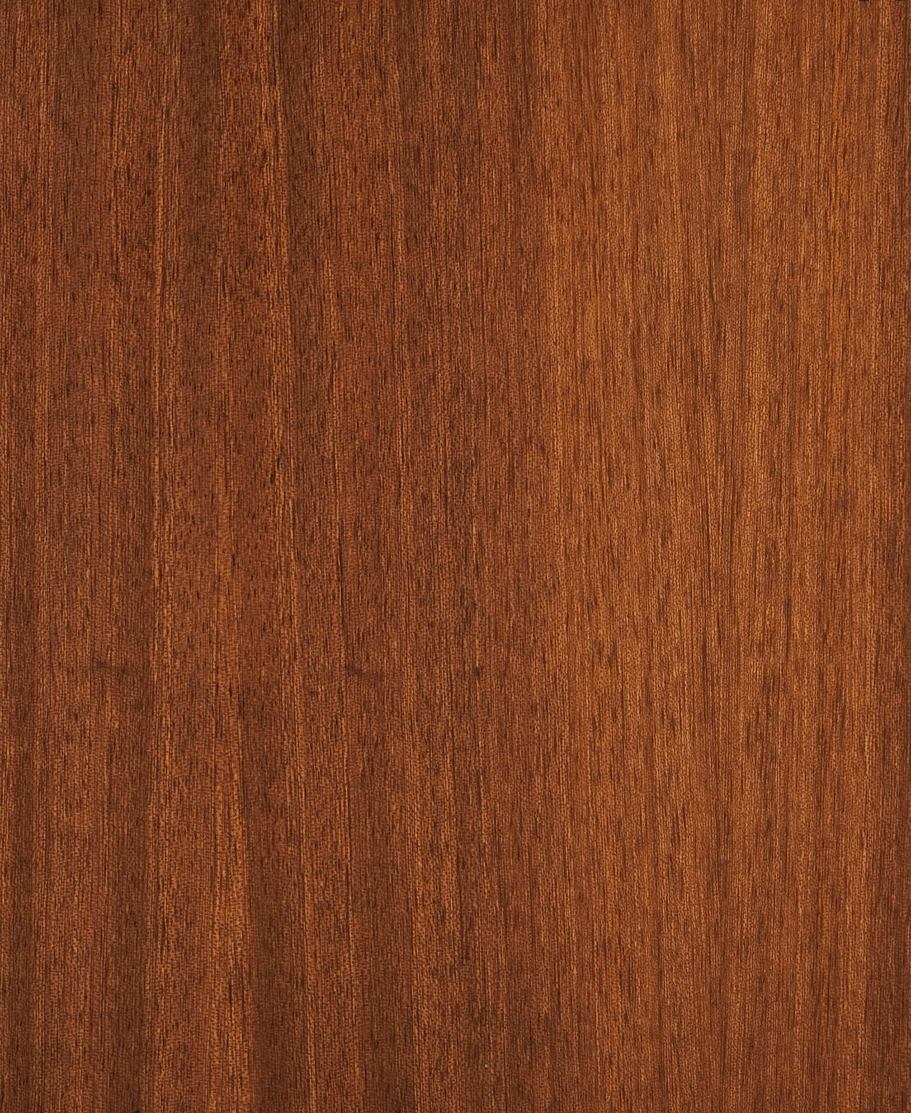 picture alternative text