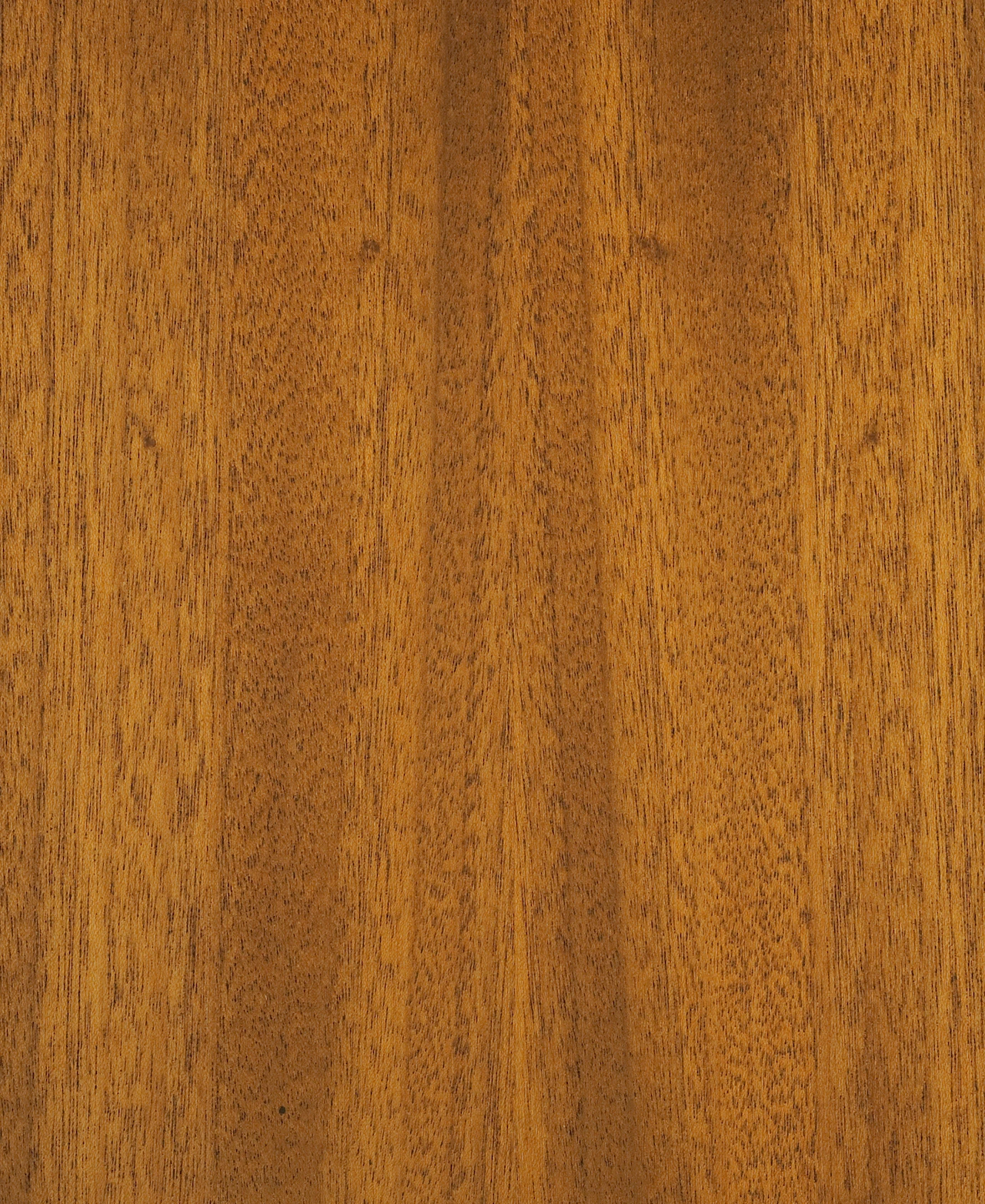 picture alternative text