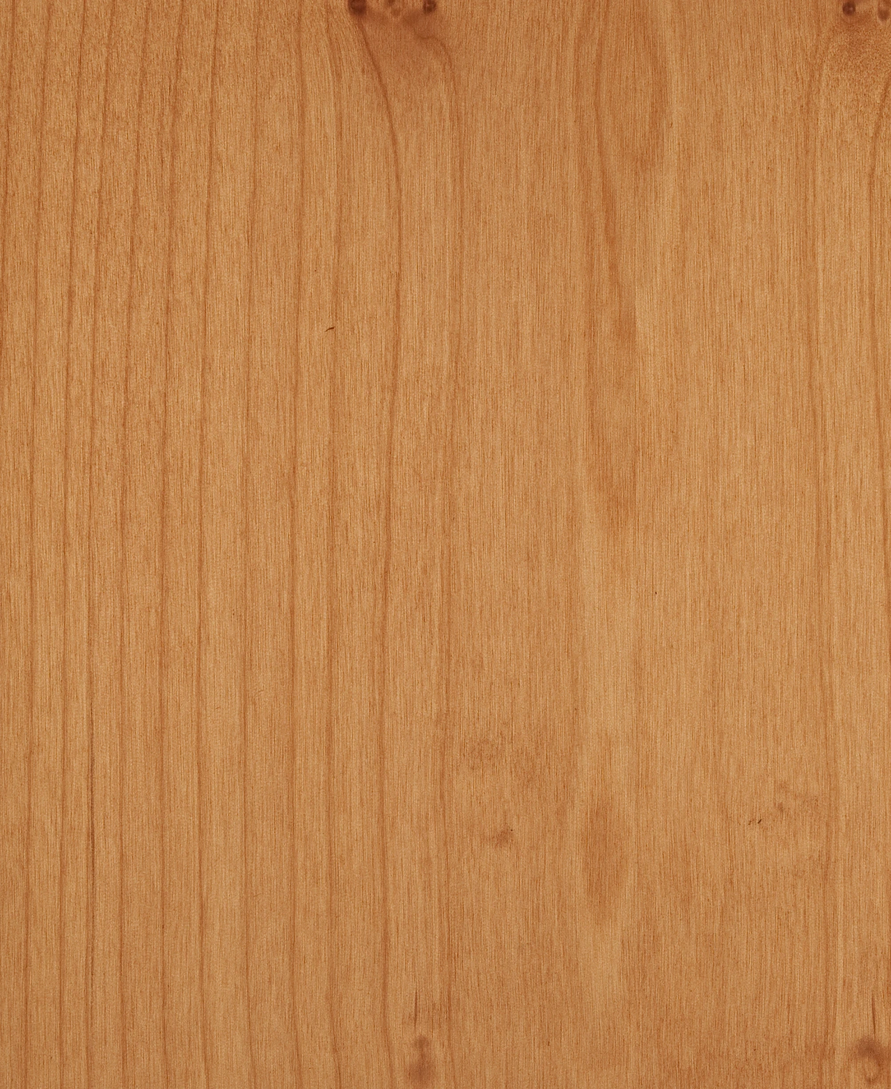 picture alternative text