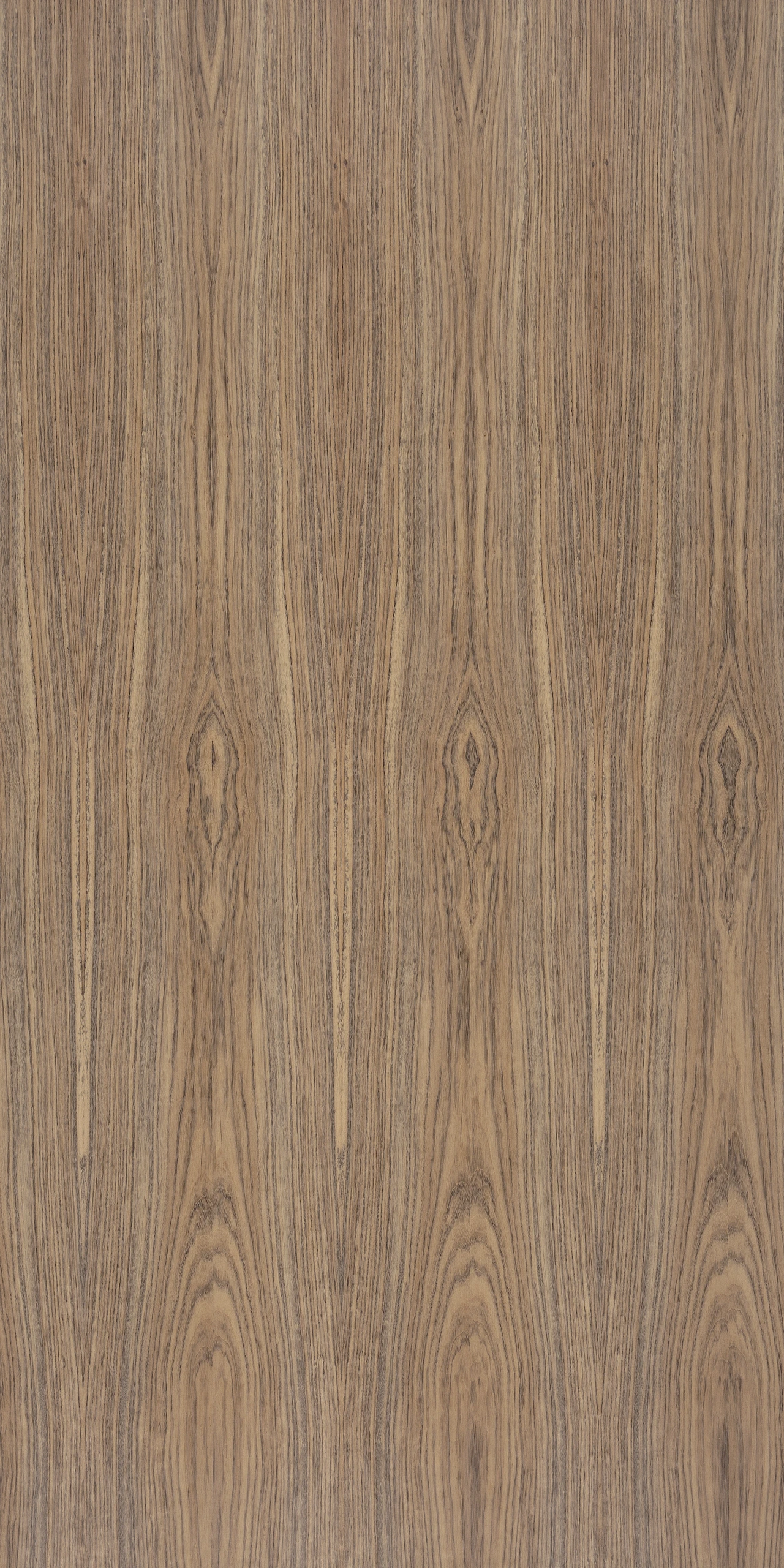 picture alternative text