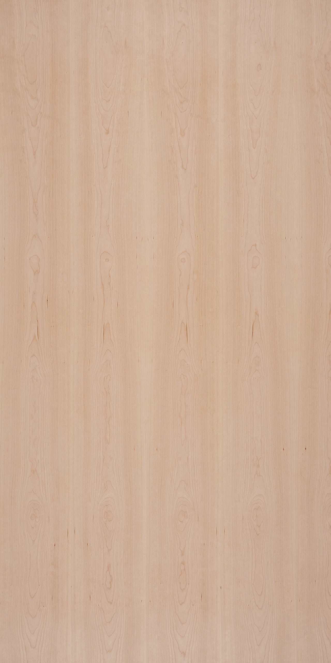 picture alternative text