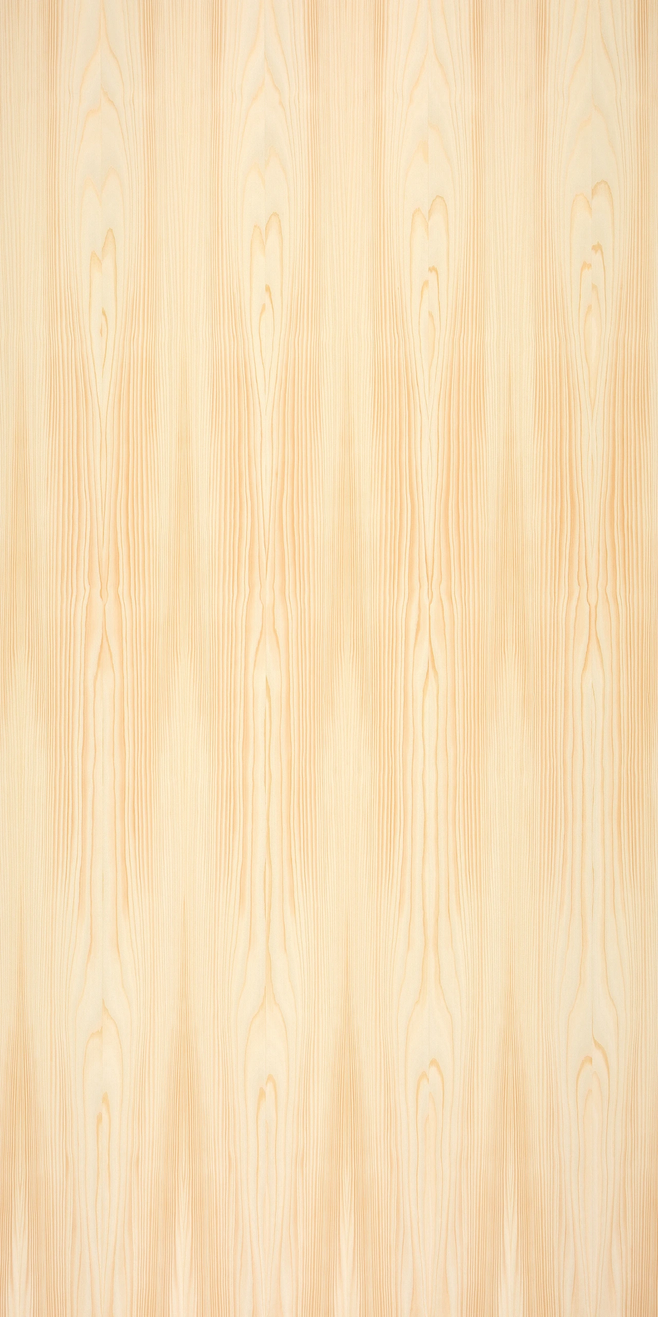 picture alternative text