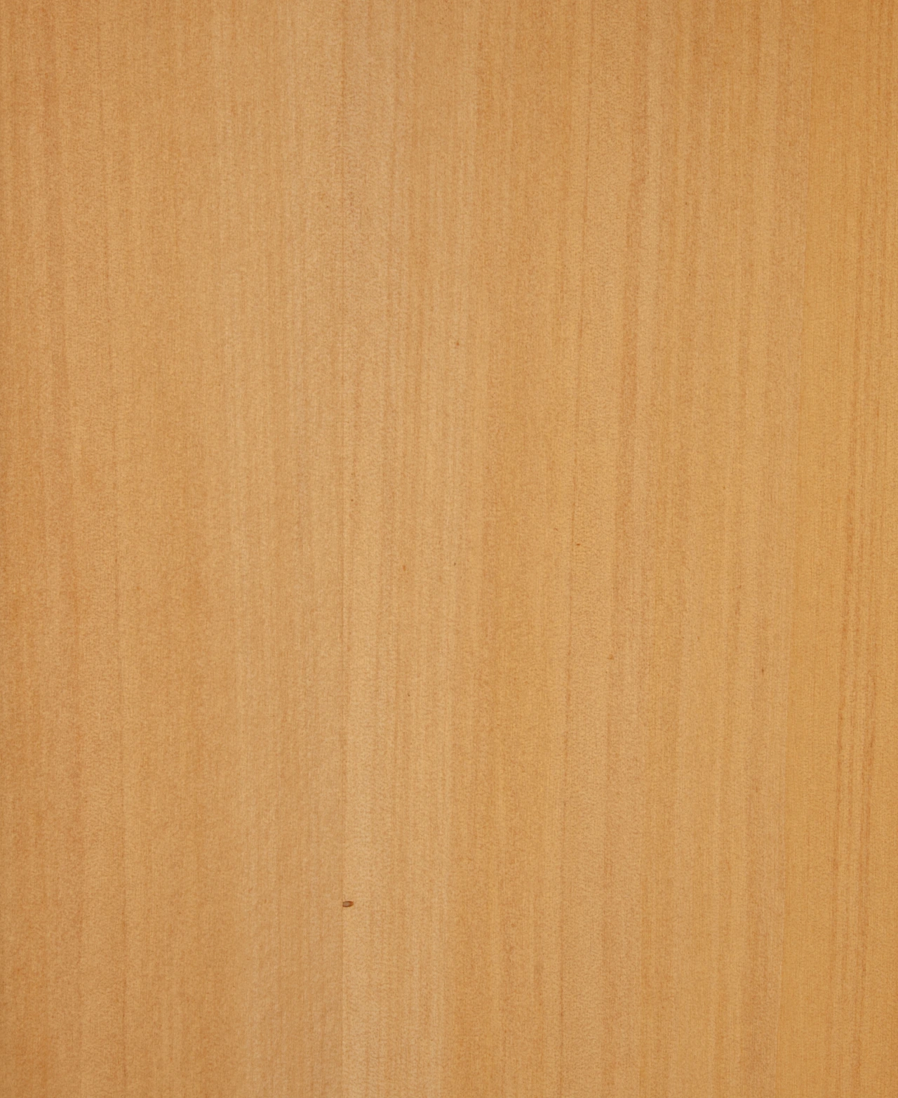 picture alternative text