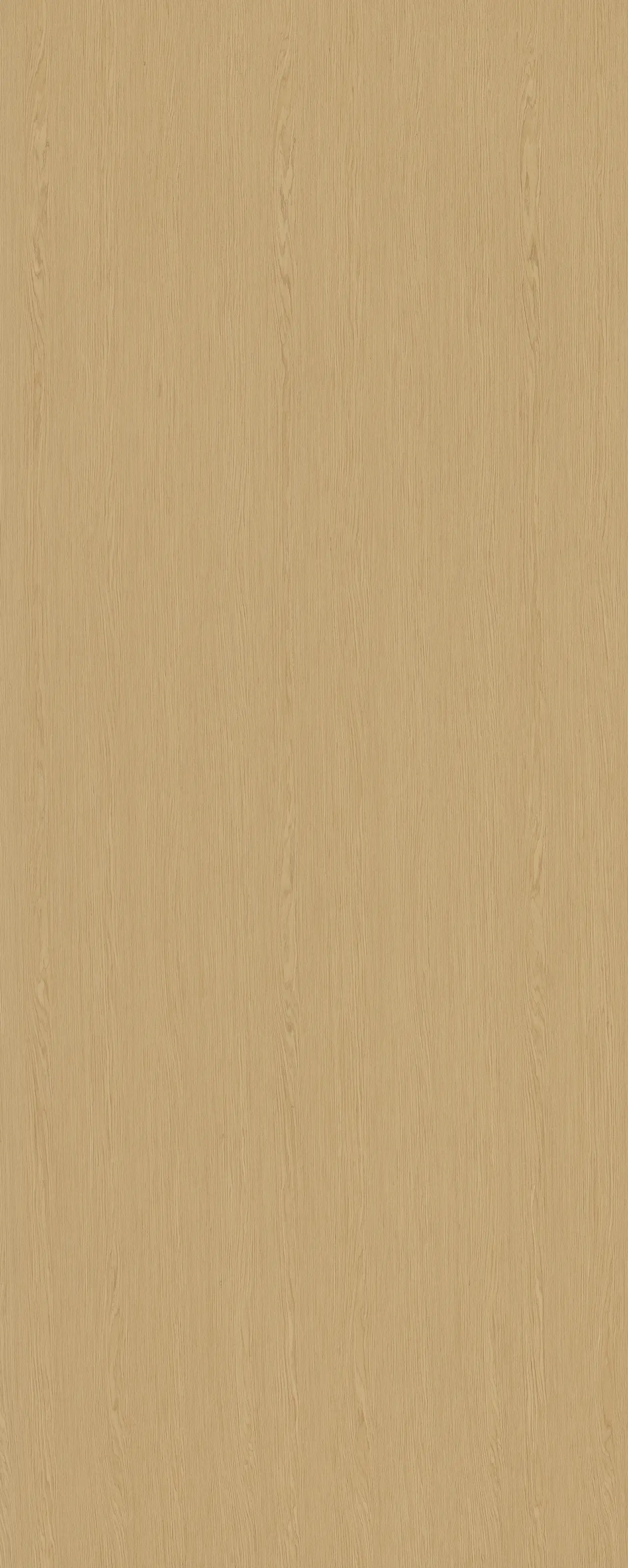 picture alternative text