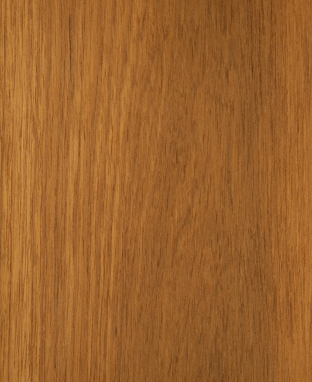 picture alternative text