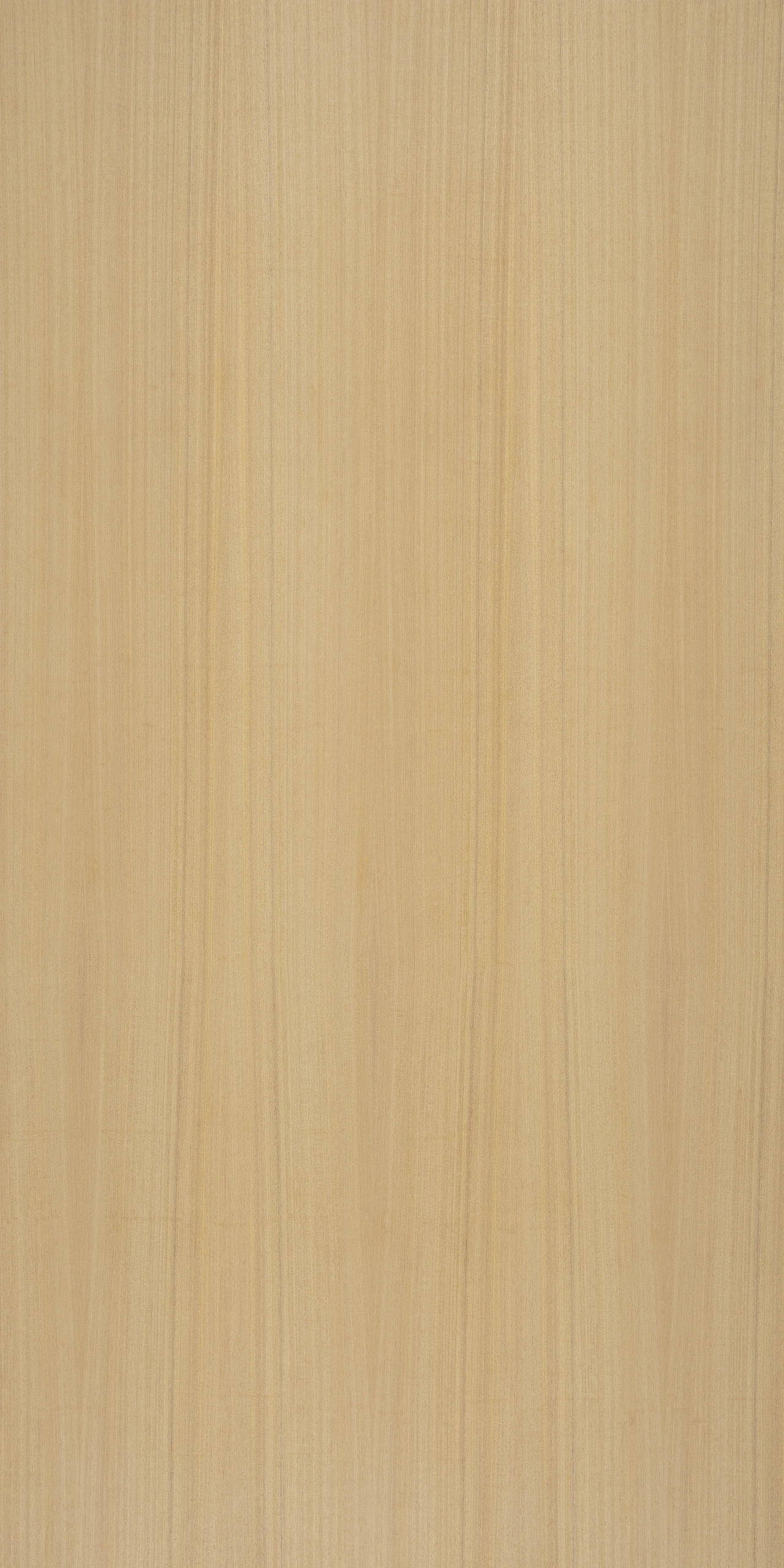 picture alternative text