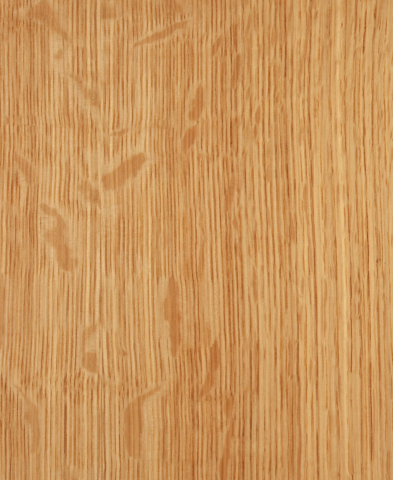 picture alternative text