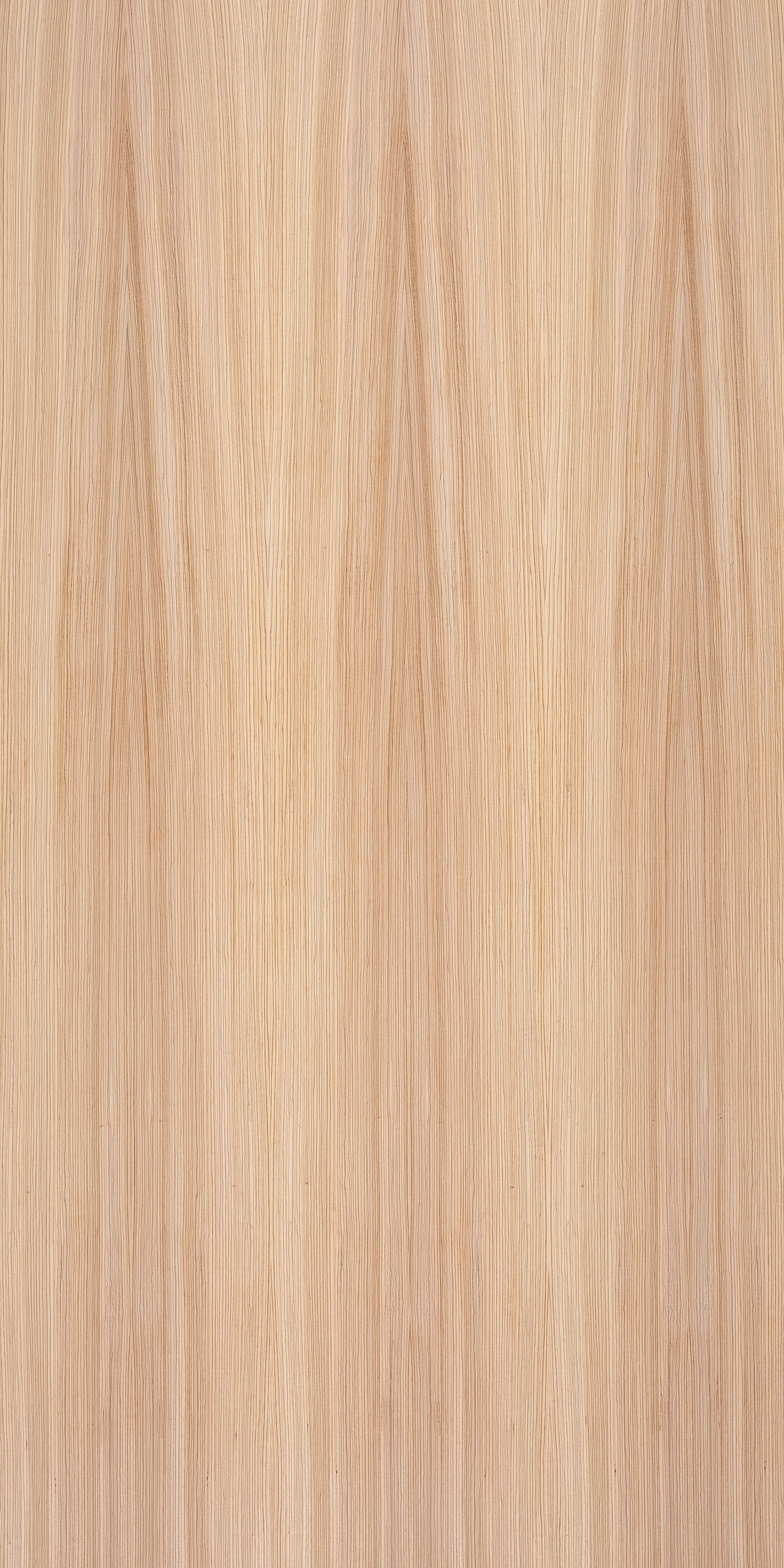 picture alternative text