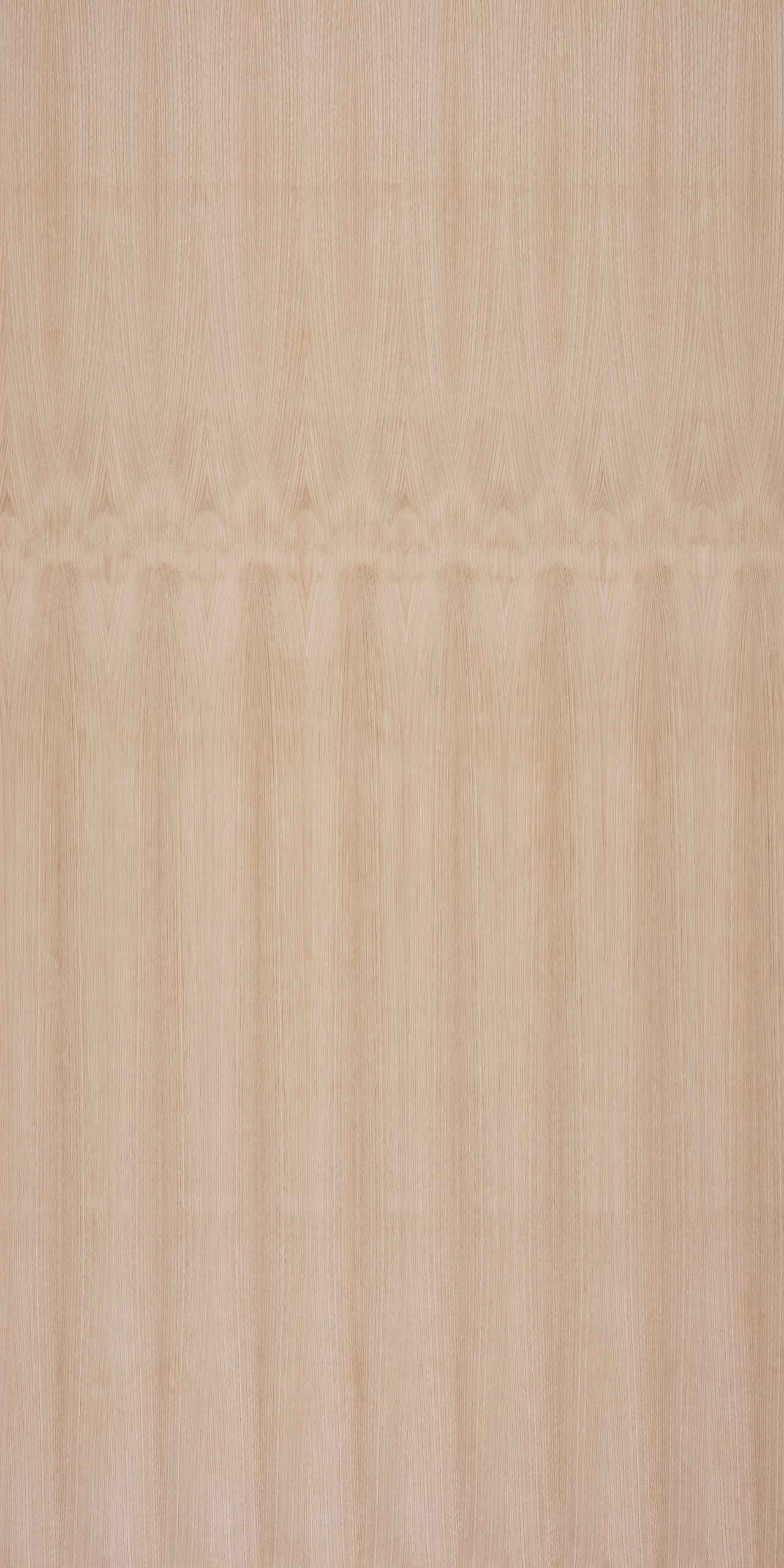 picture alternative text