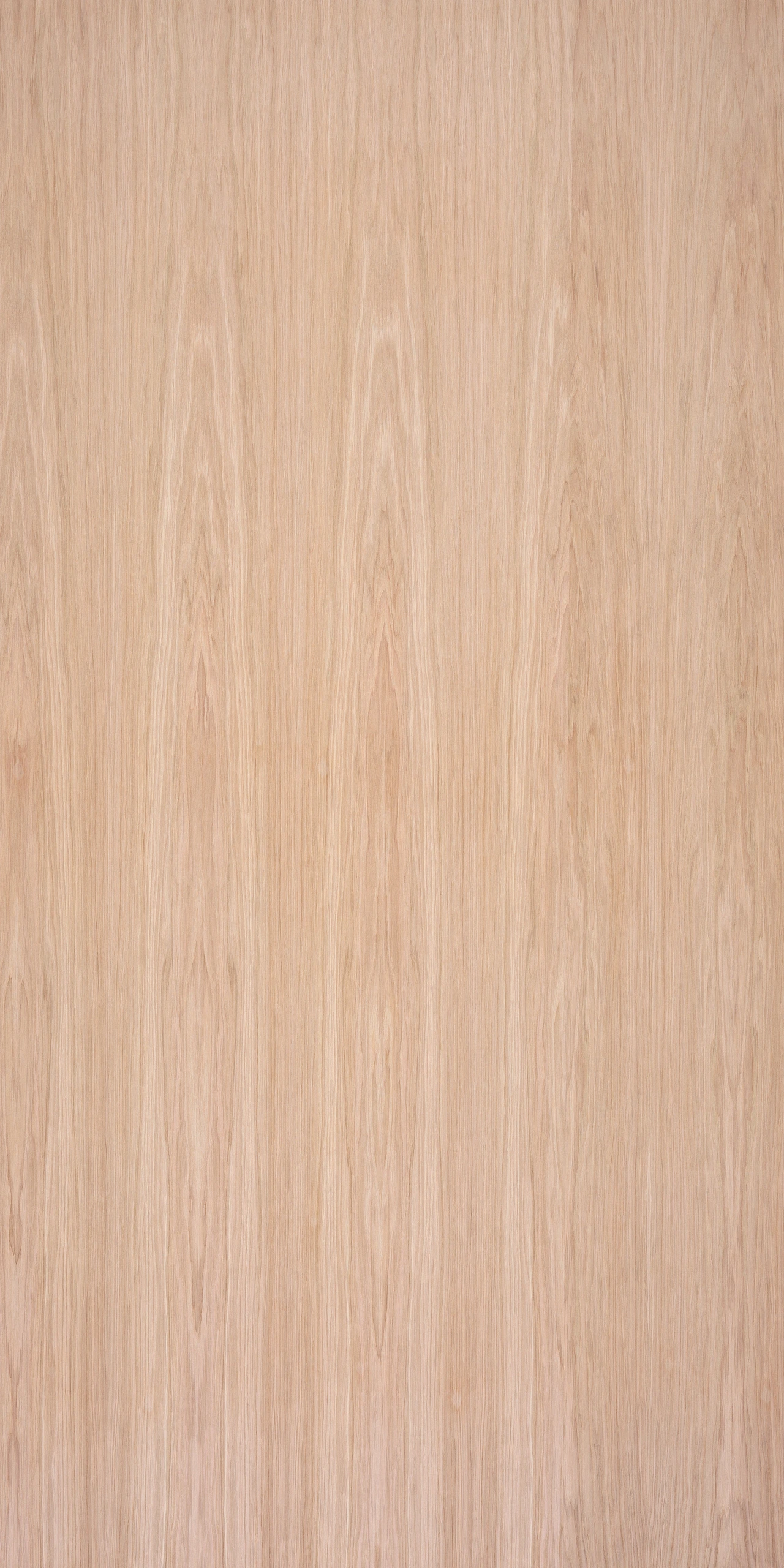 picture alternative text