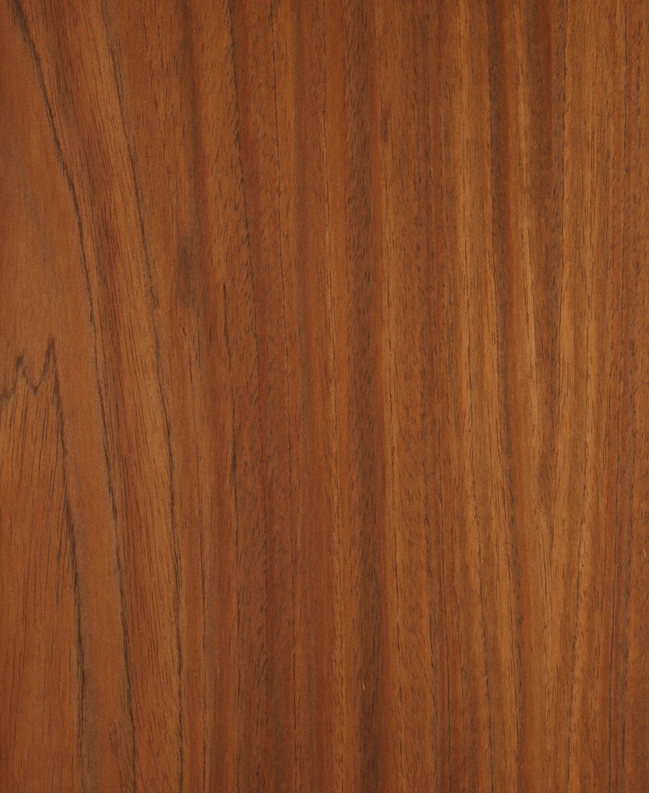 picture alternative text