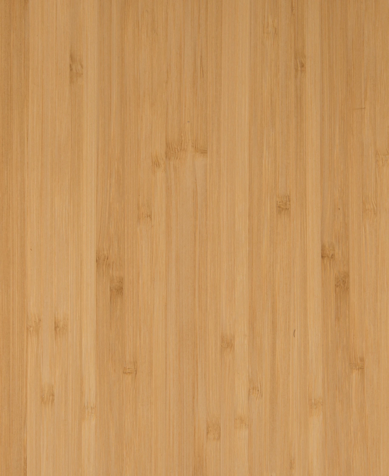 picture alternative text