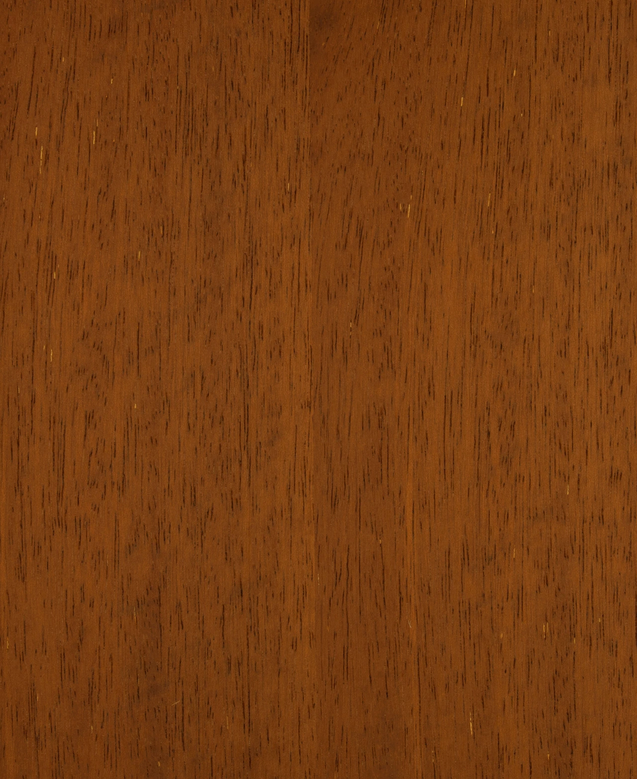 picture alternative text