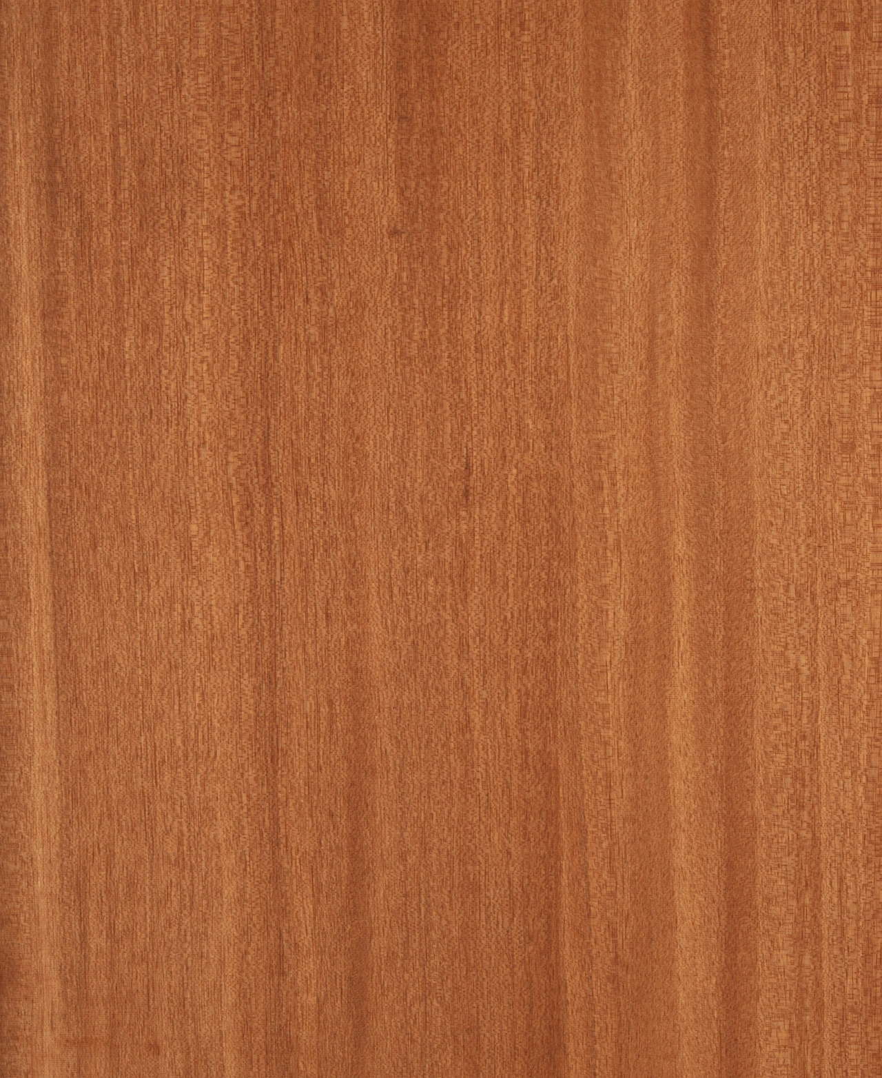 picture alternative text