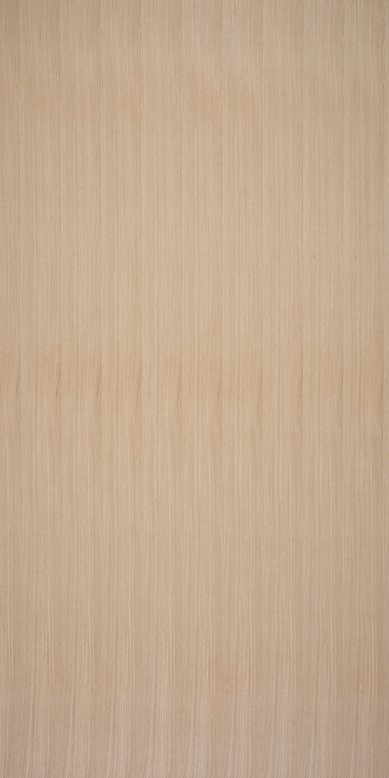 picture alternative text