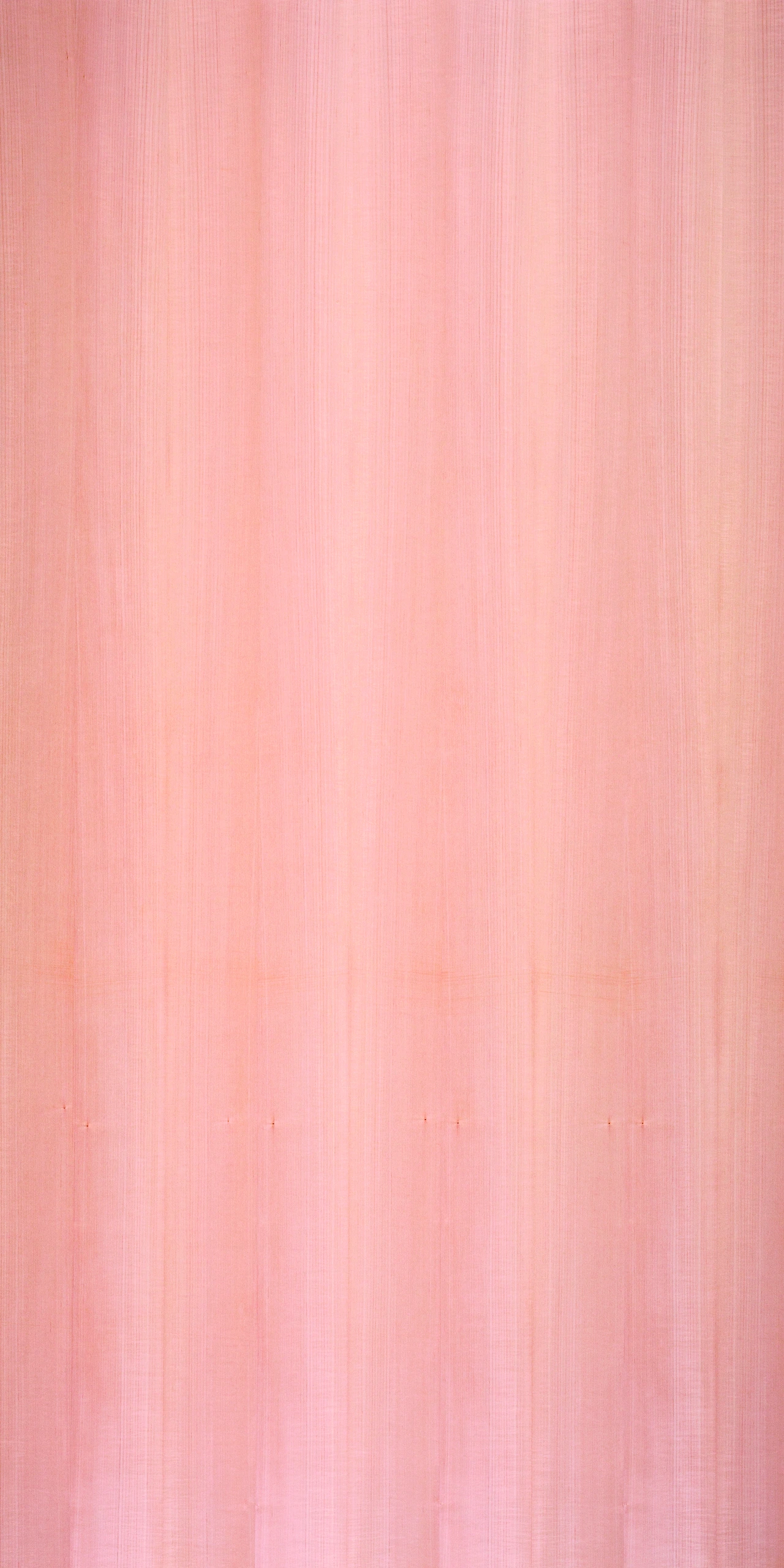 picture alternative text