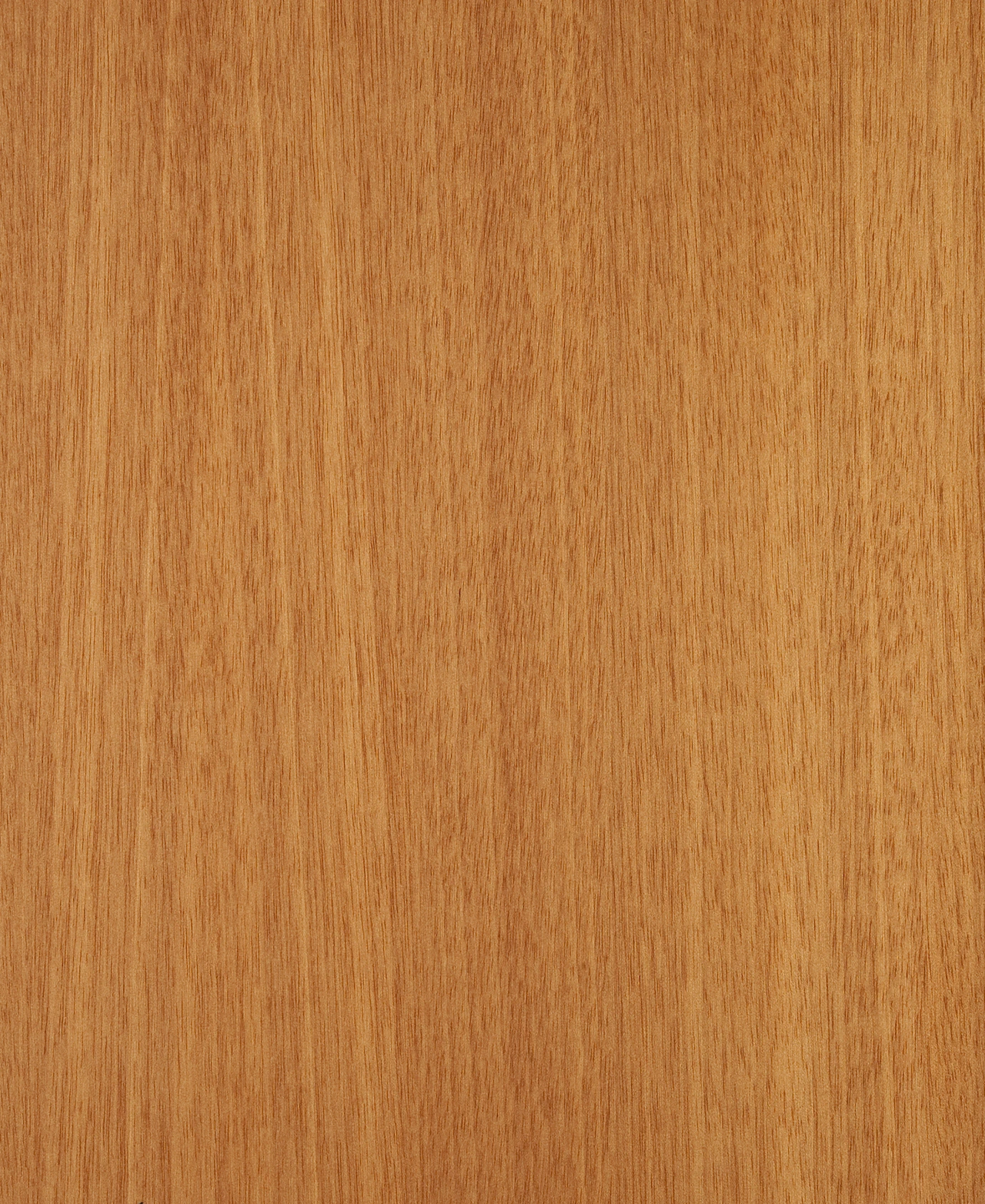 picture alternative text