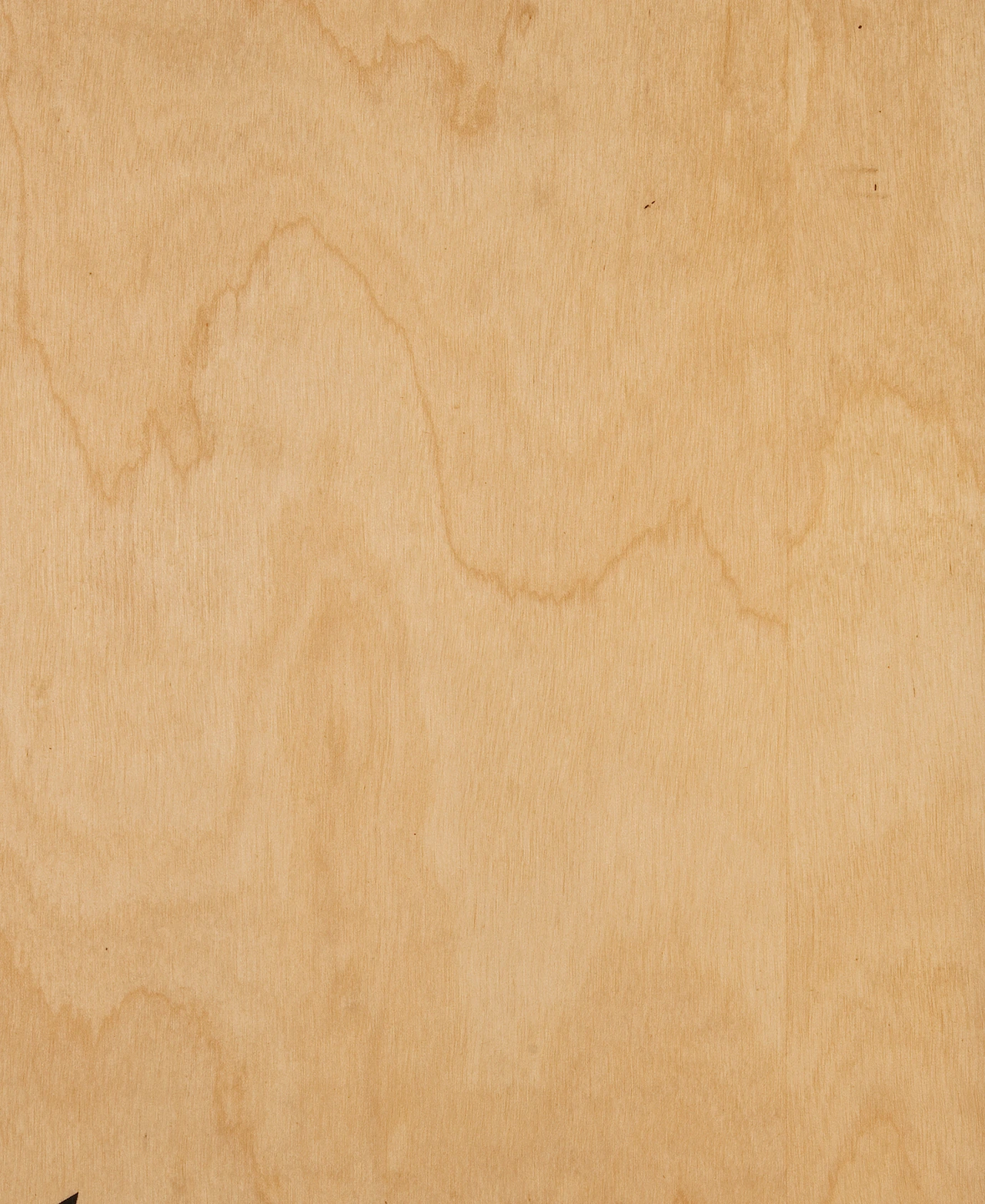 picture alternative text