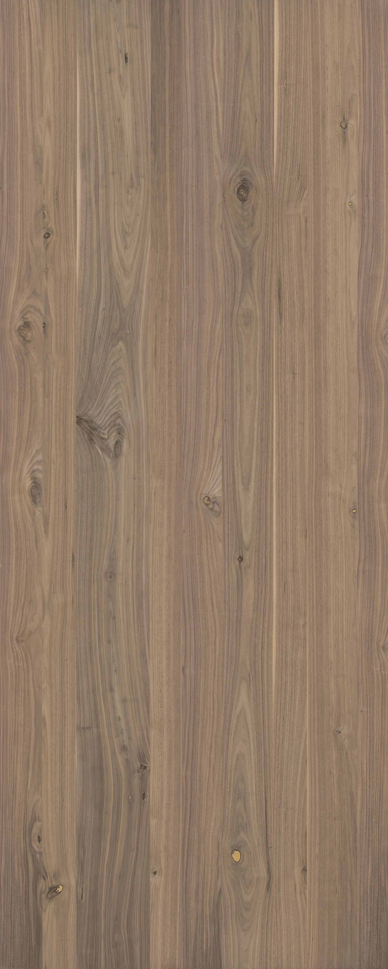 picture alternative text