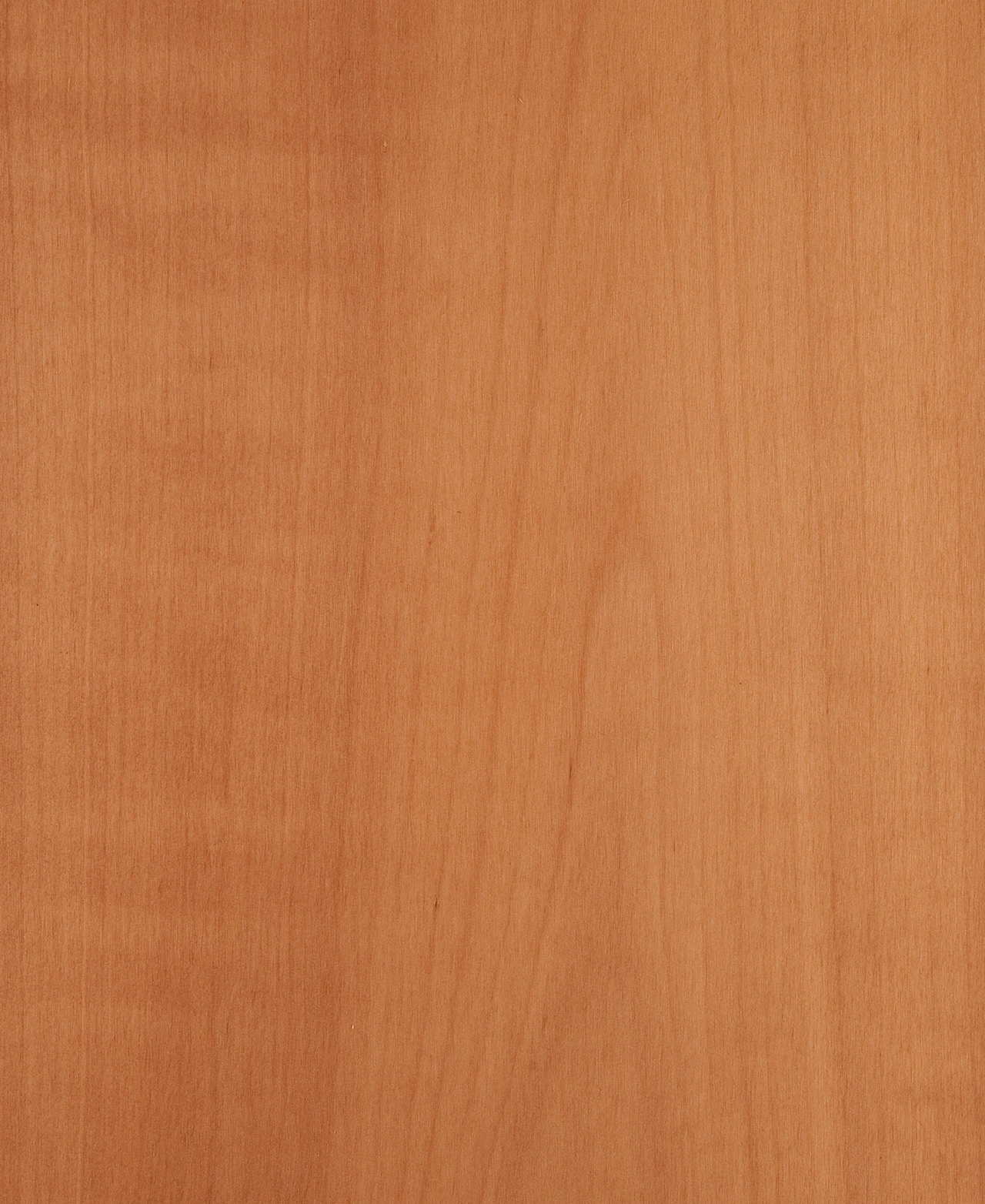 picture alternative text