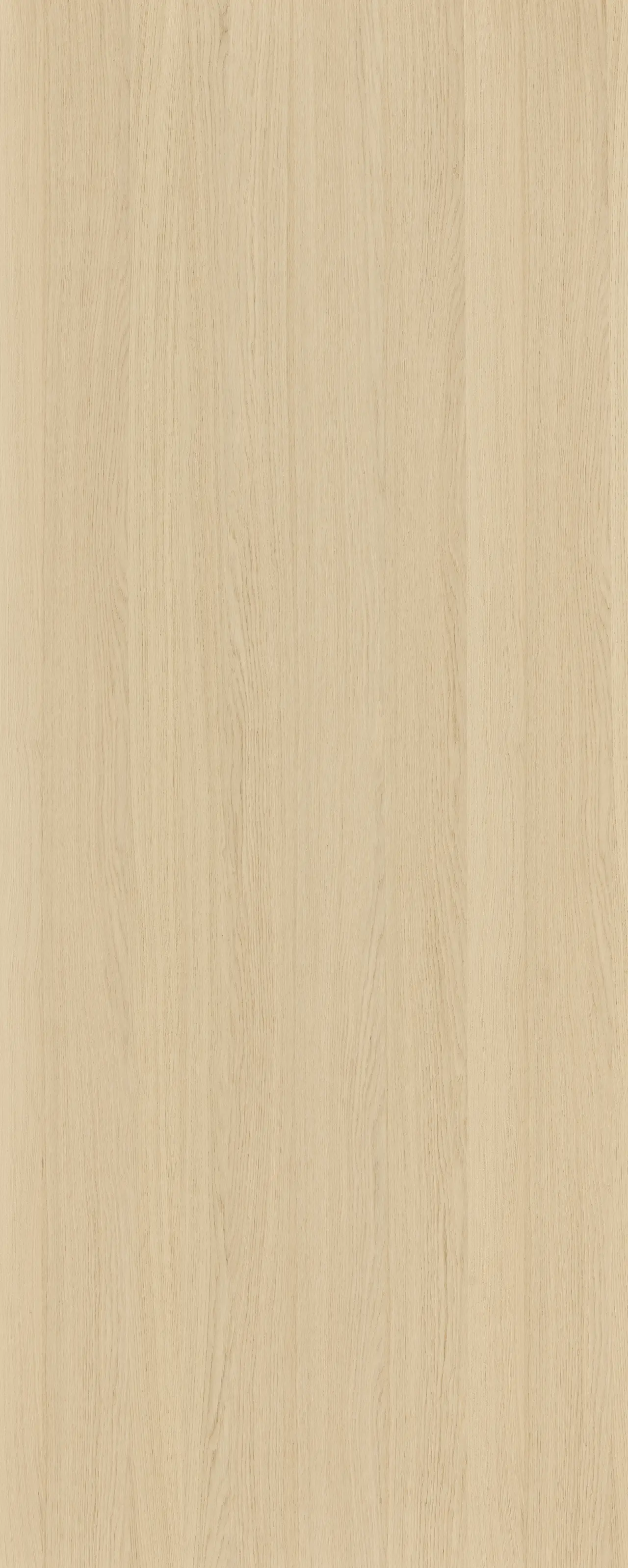 picture alternative text