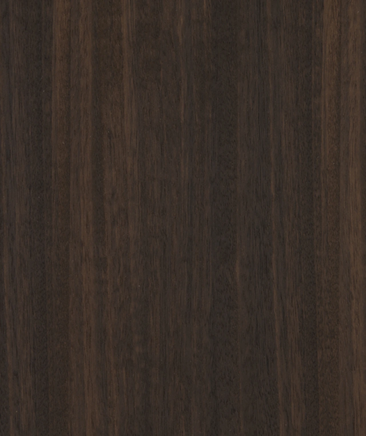 picture alternative text