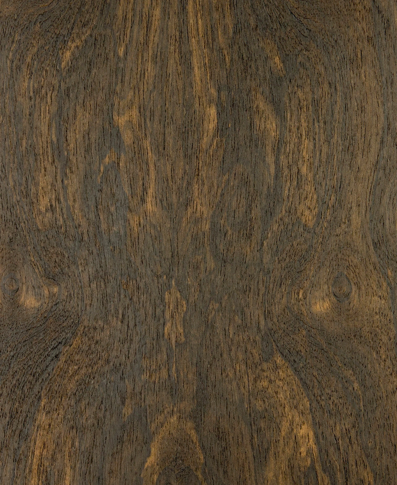 picture alternative text