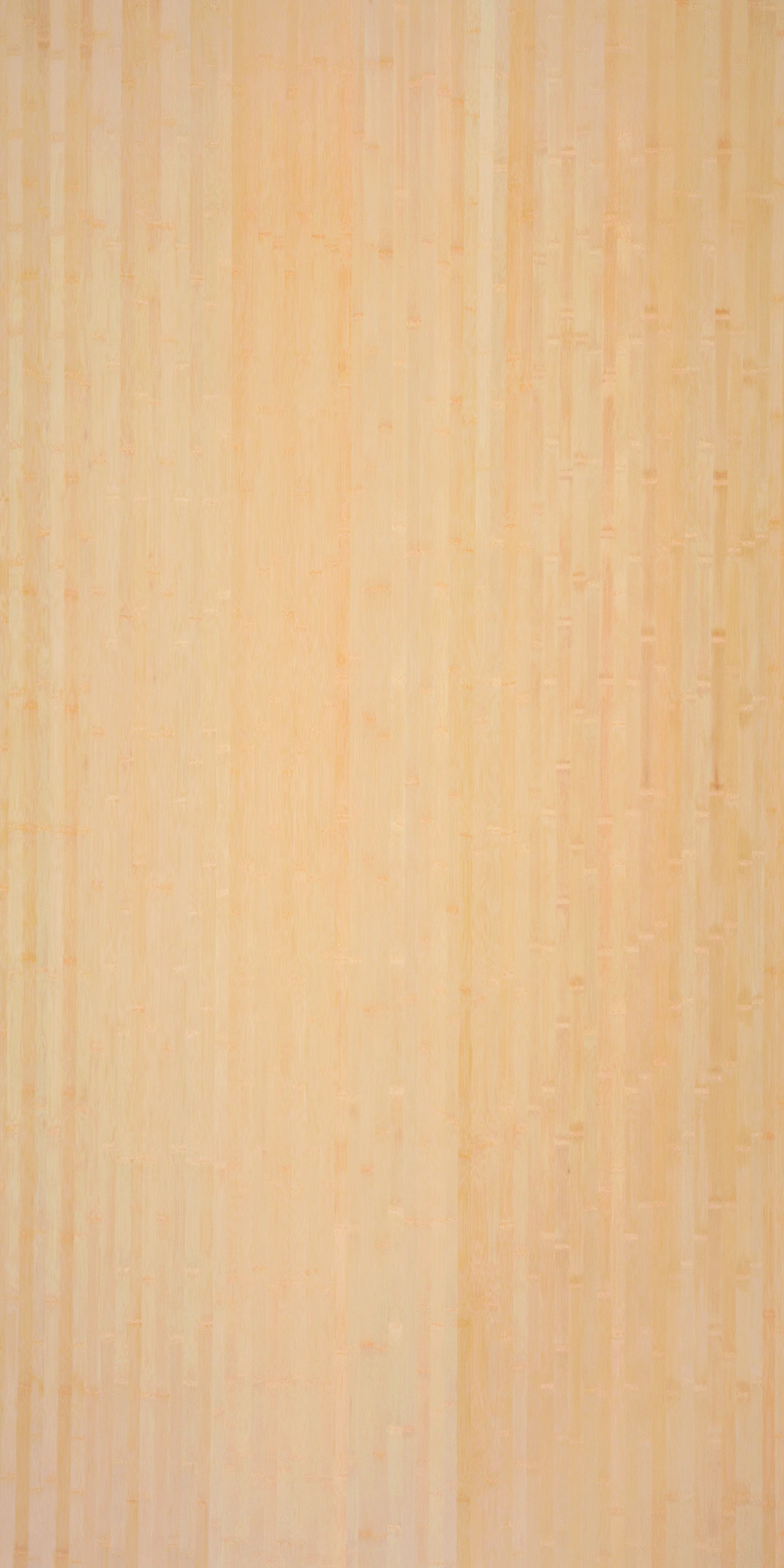 picture alternative text